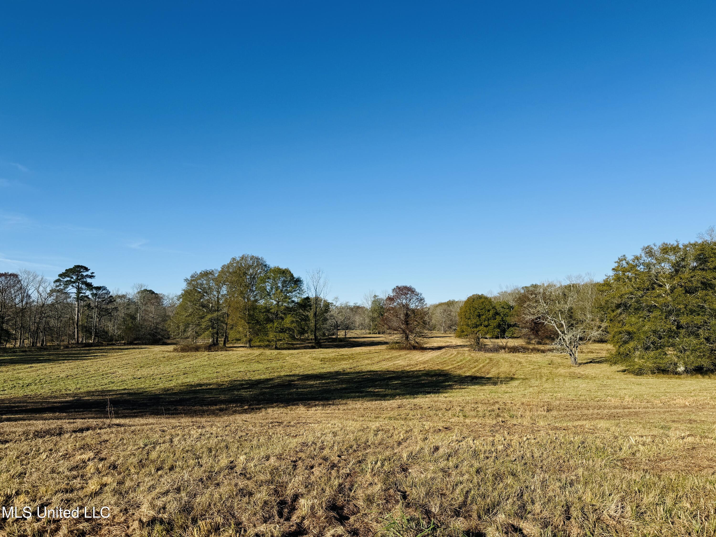 Mississippi 35 Property Photo 8