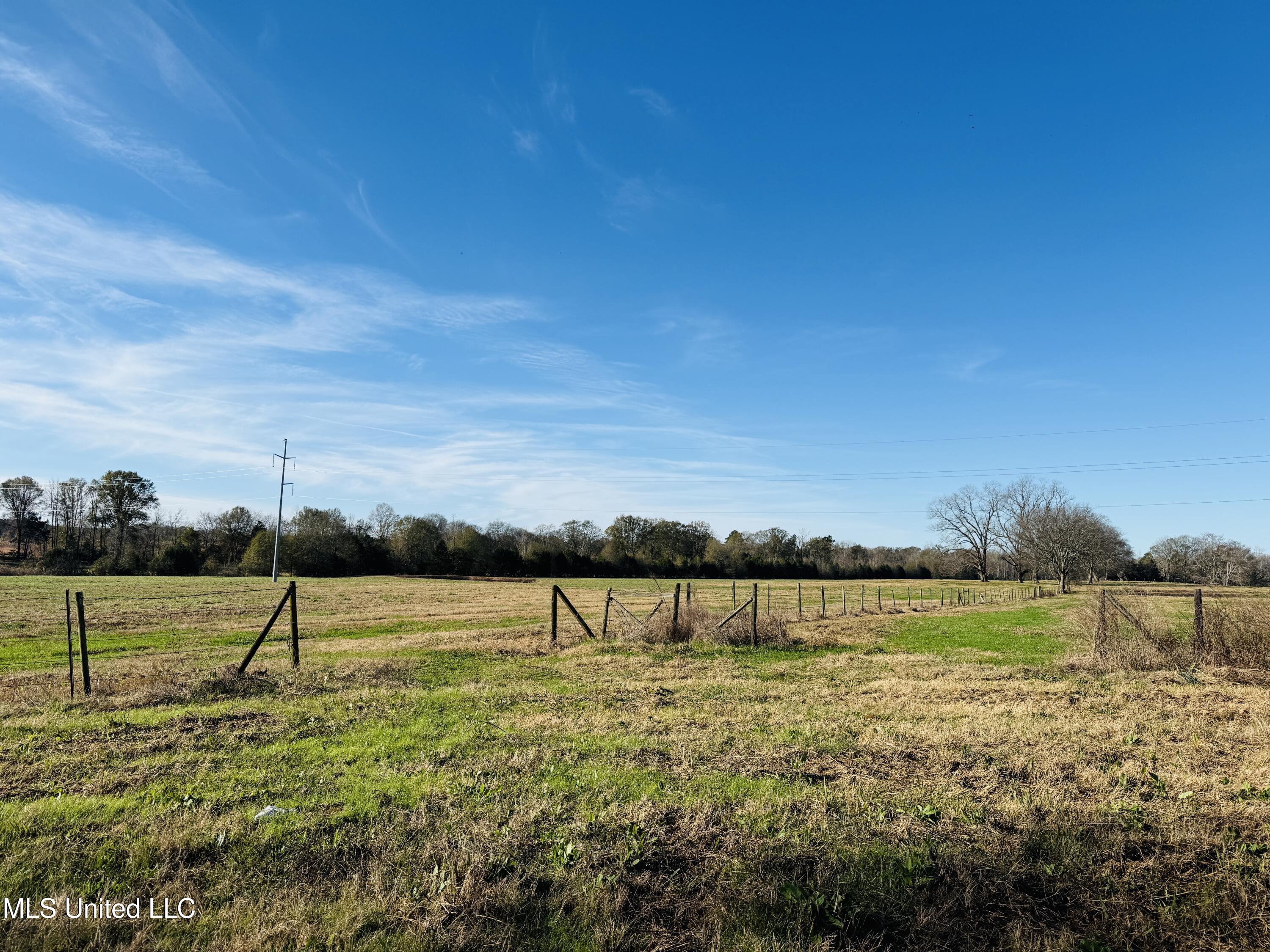 Mississippi 35 Property Photo 9