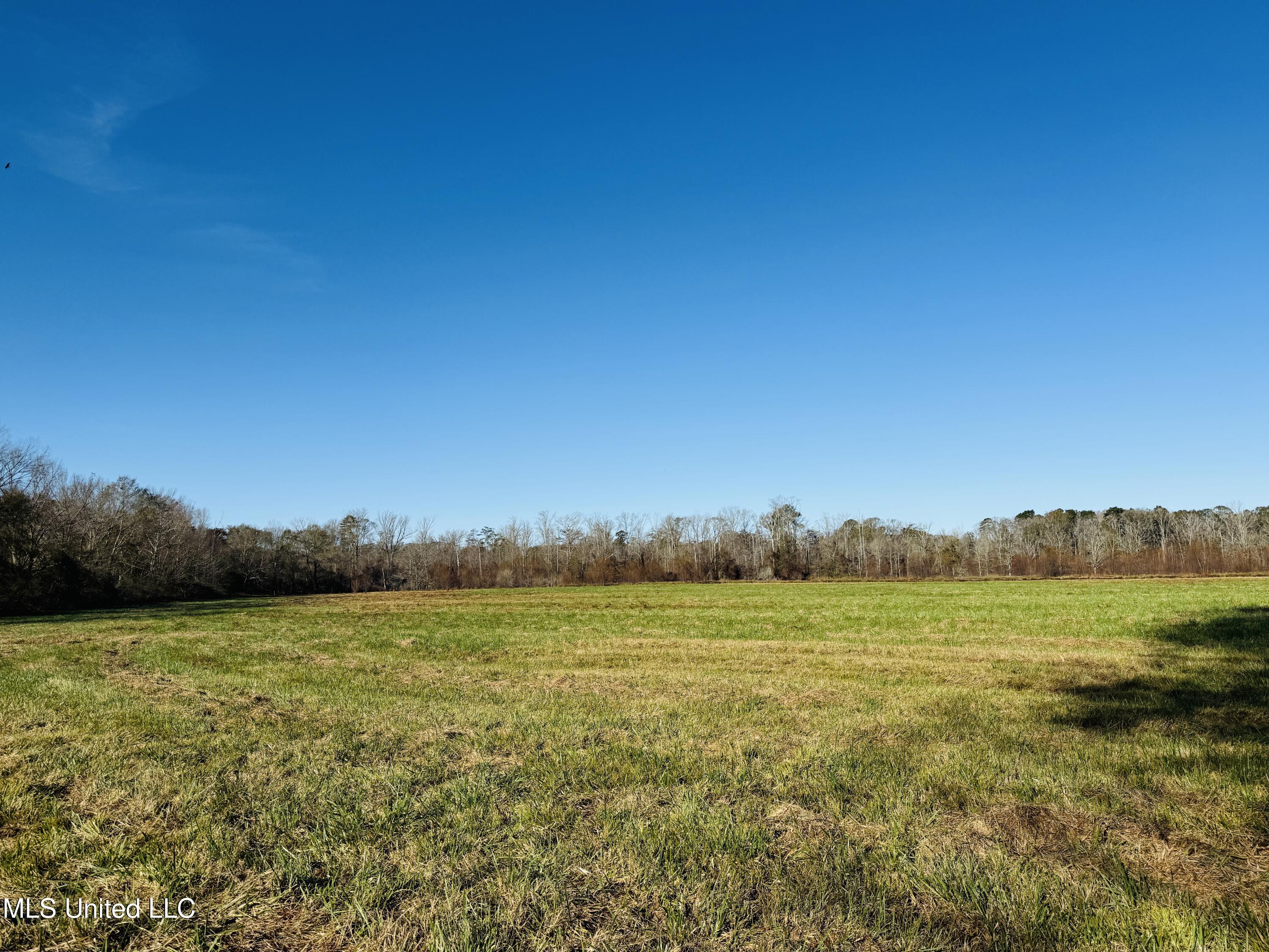 Mississippi 35 Property Photo 10