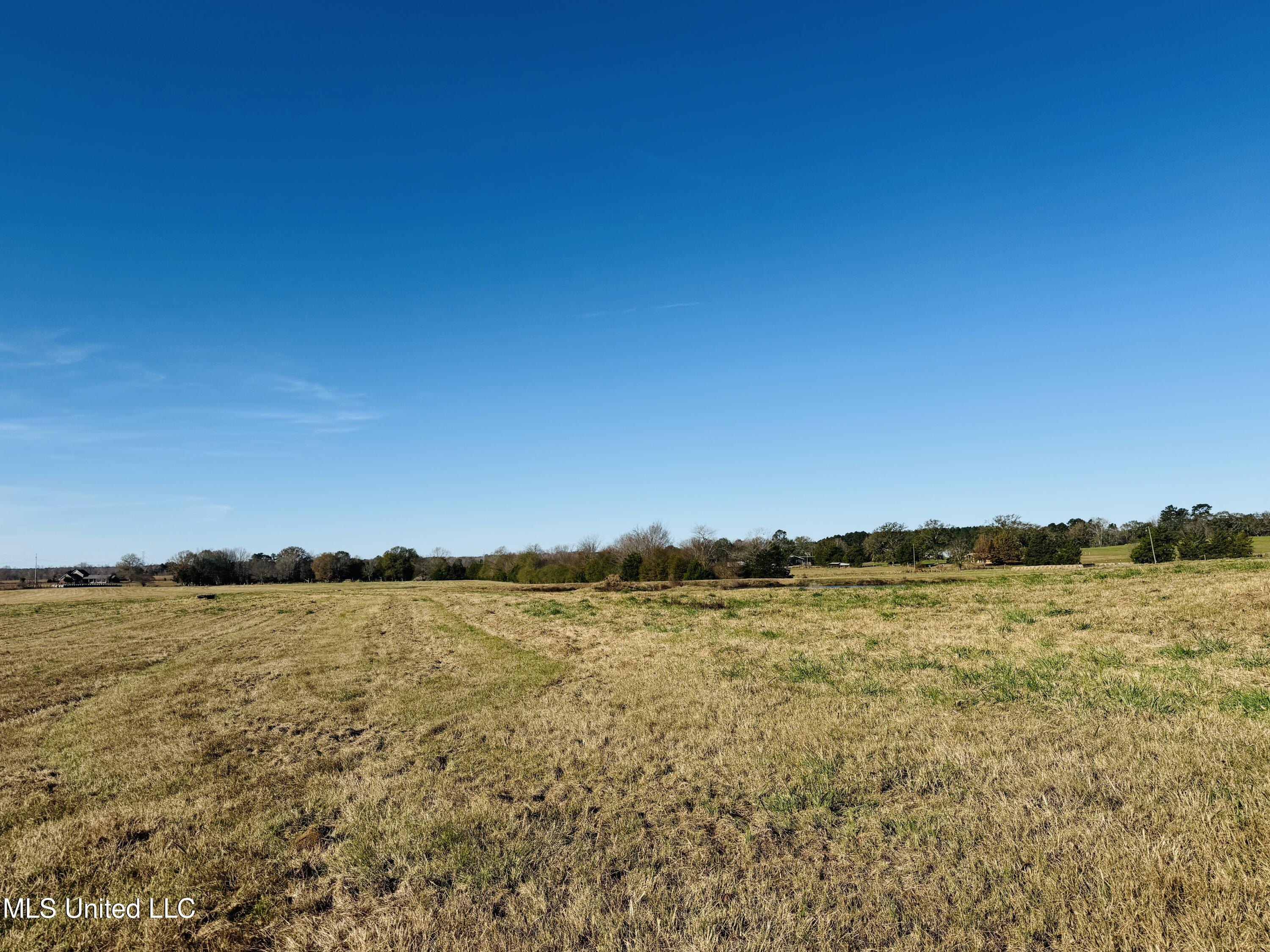 Mississippi 35 Property Photo 11