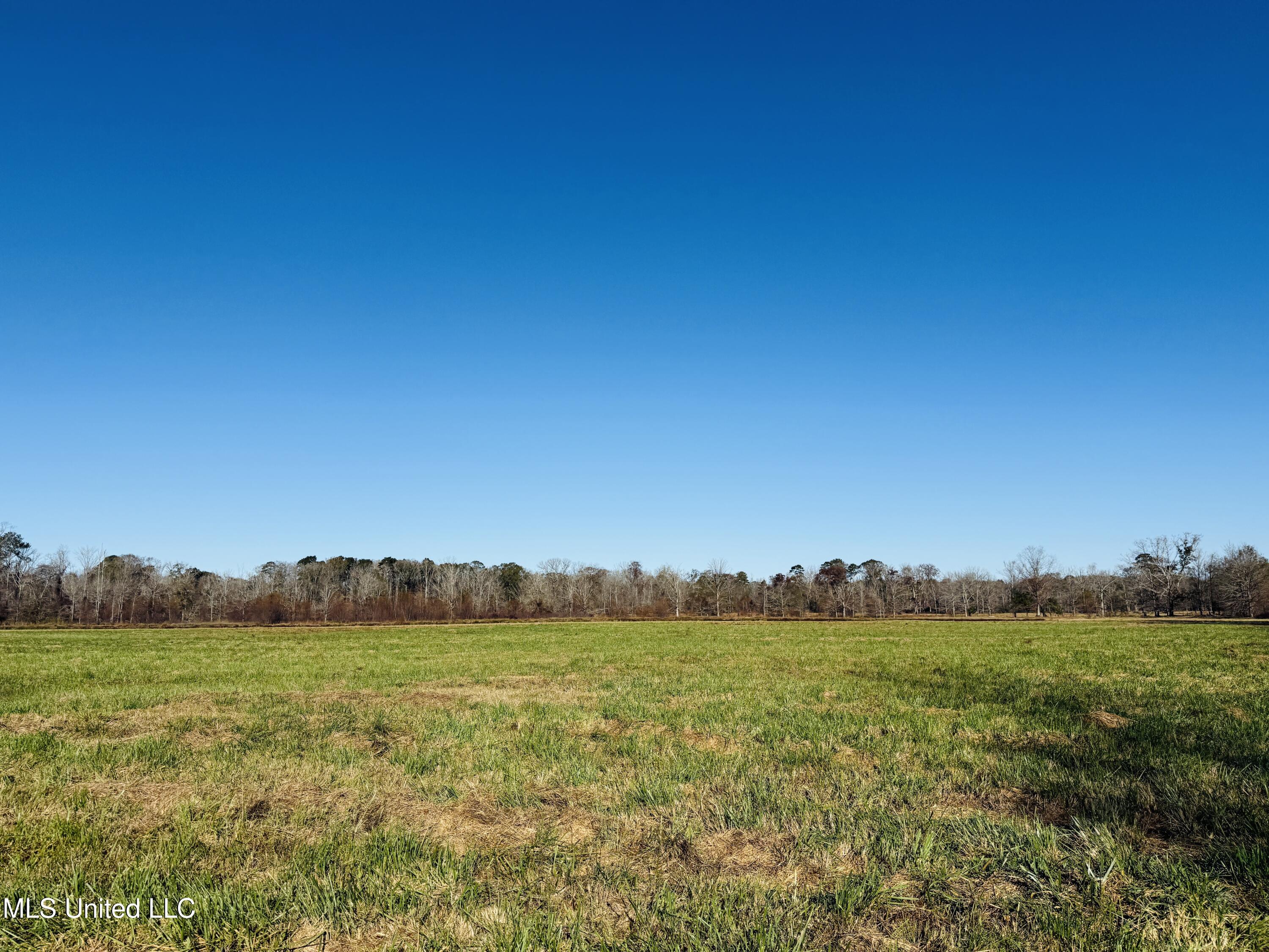 Mississippi 35 Property Photo 16