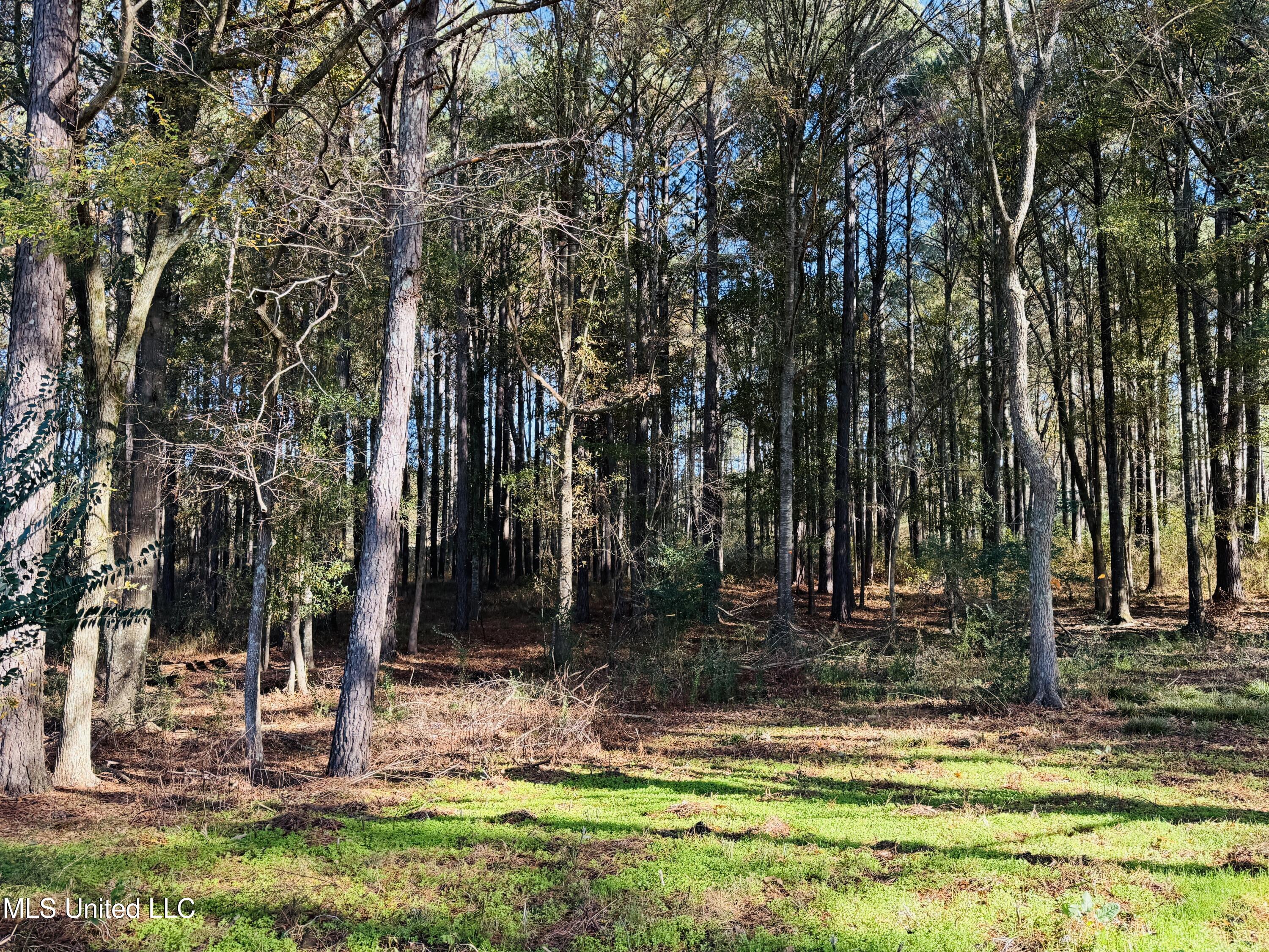 Mississippi 35 Property Photo 17