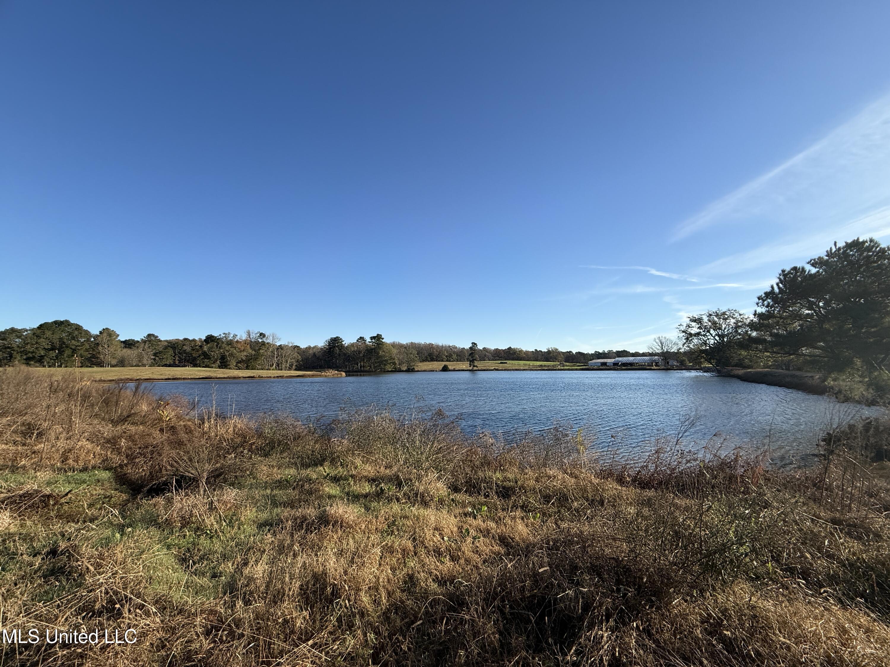 Mississippi 35 Property Photo 19