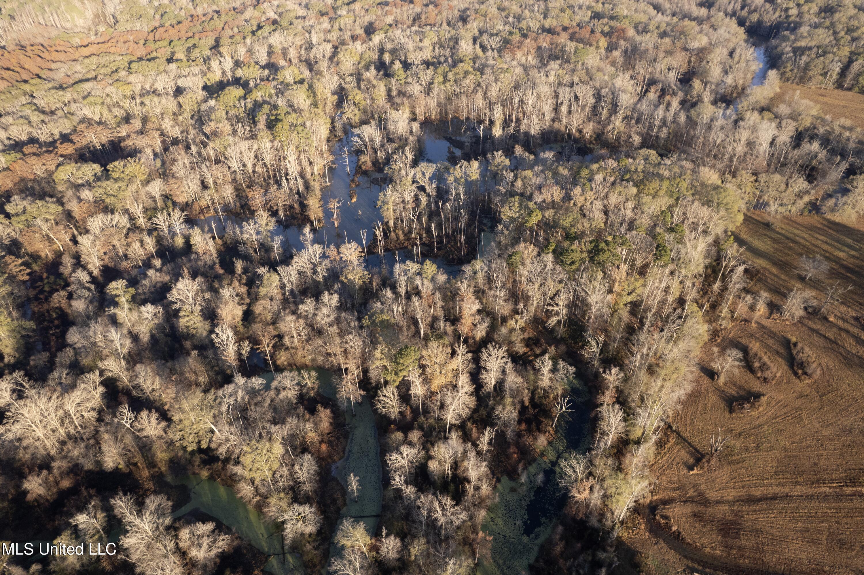 Mississippi 35 Property Photo 44
