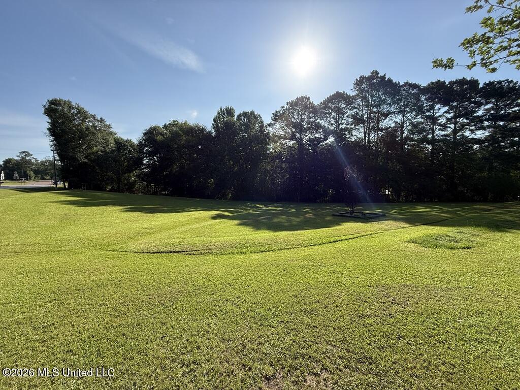 211 Highway 487 Property Photo 30