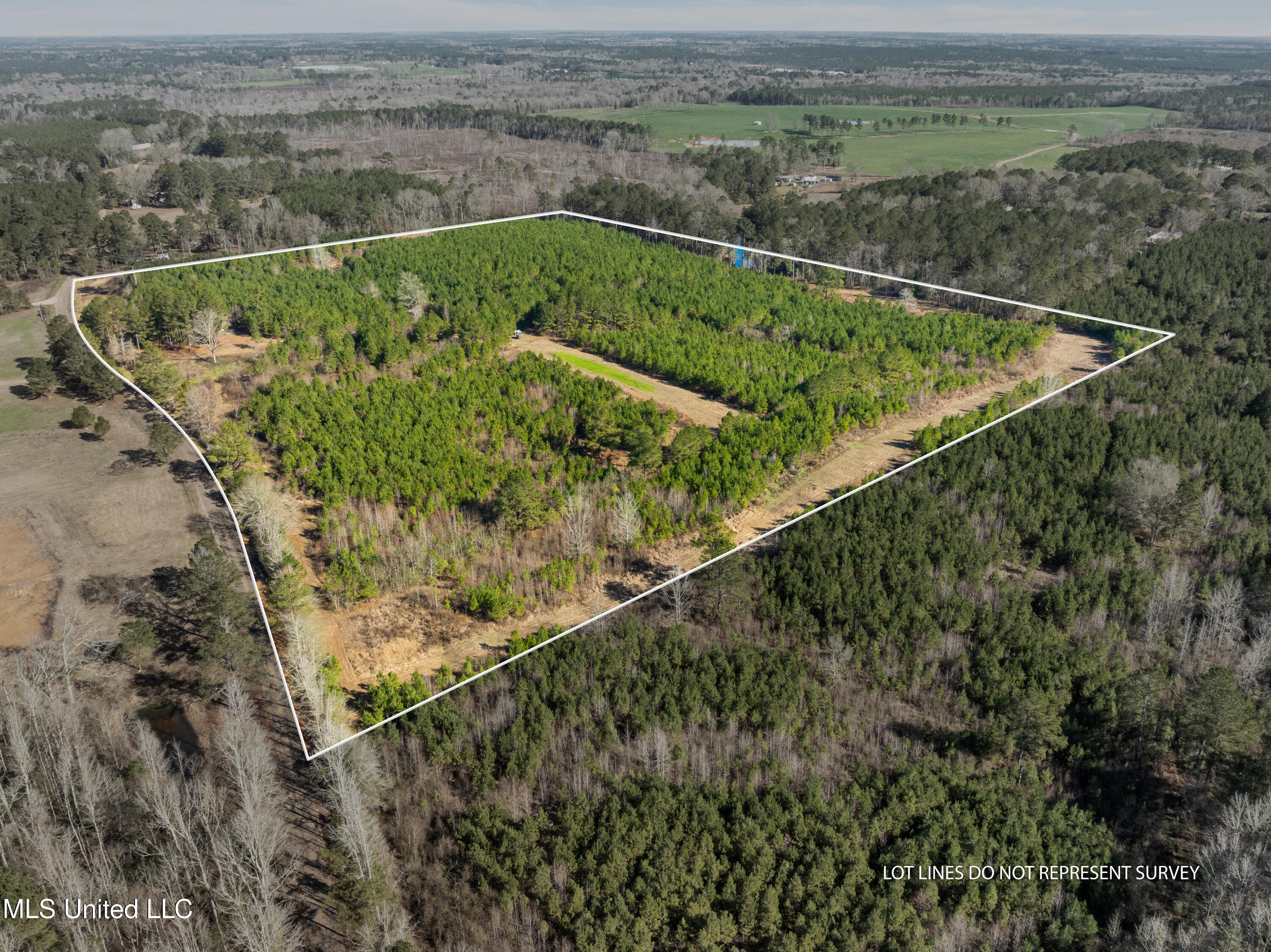 121 Mack Cemetery Road Property Photo 78