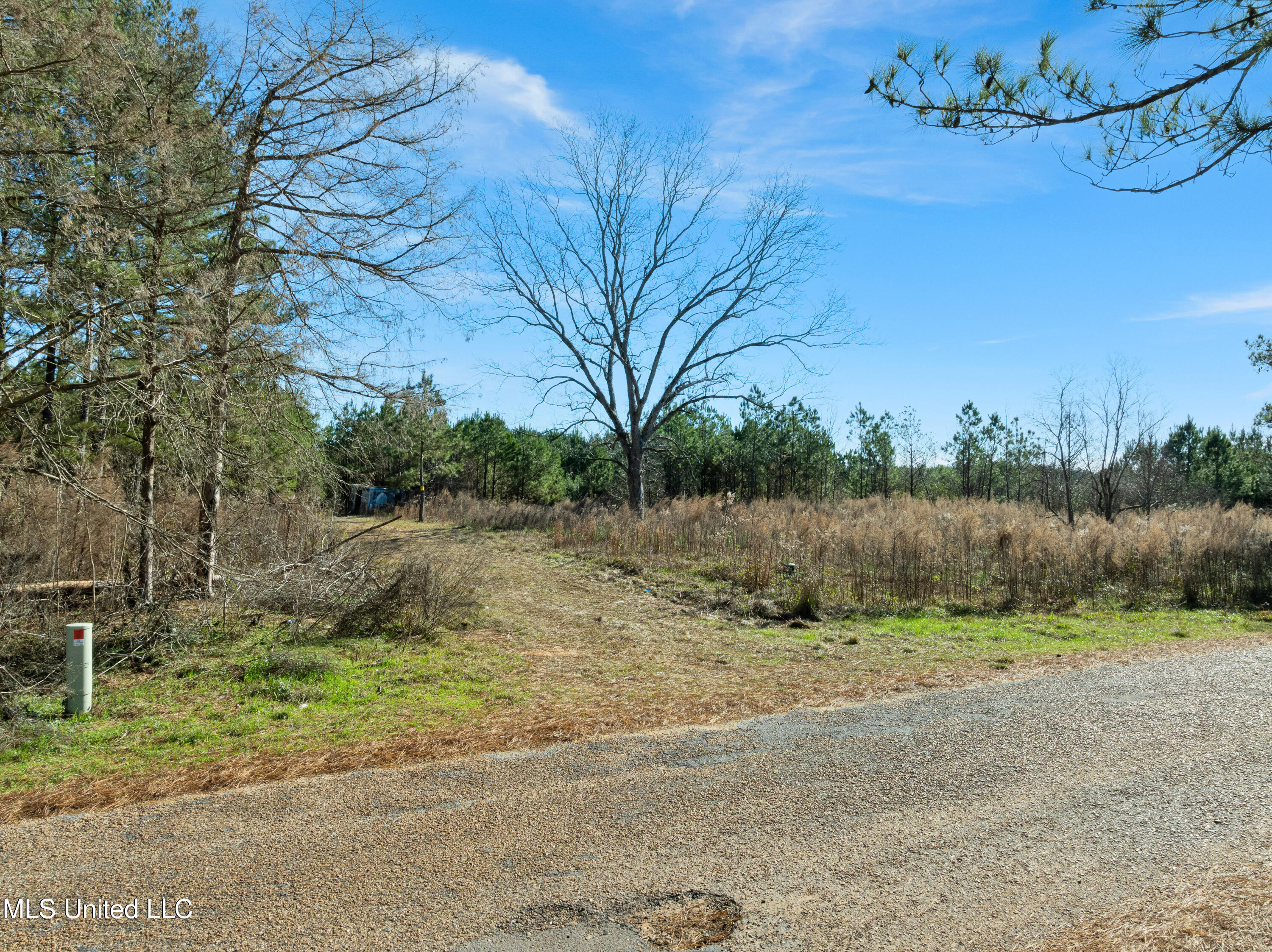 121 Mack Cemetery Road Property Photo 87