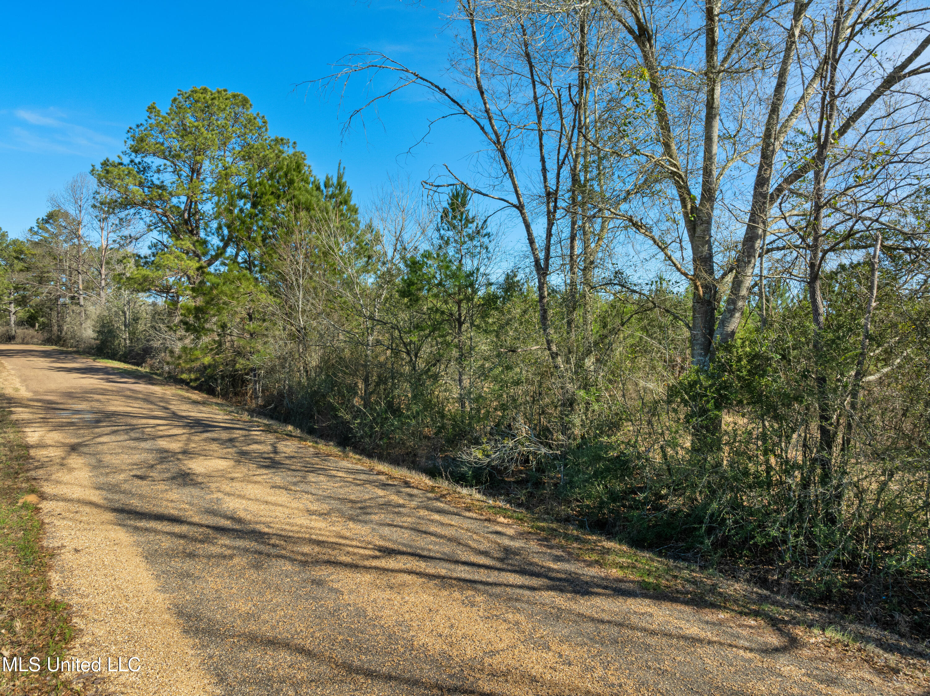 121 Mack Cemetery Road Property Photo 88