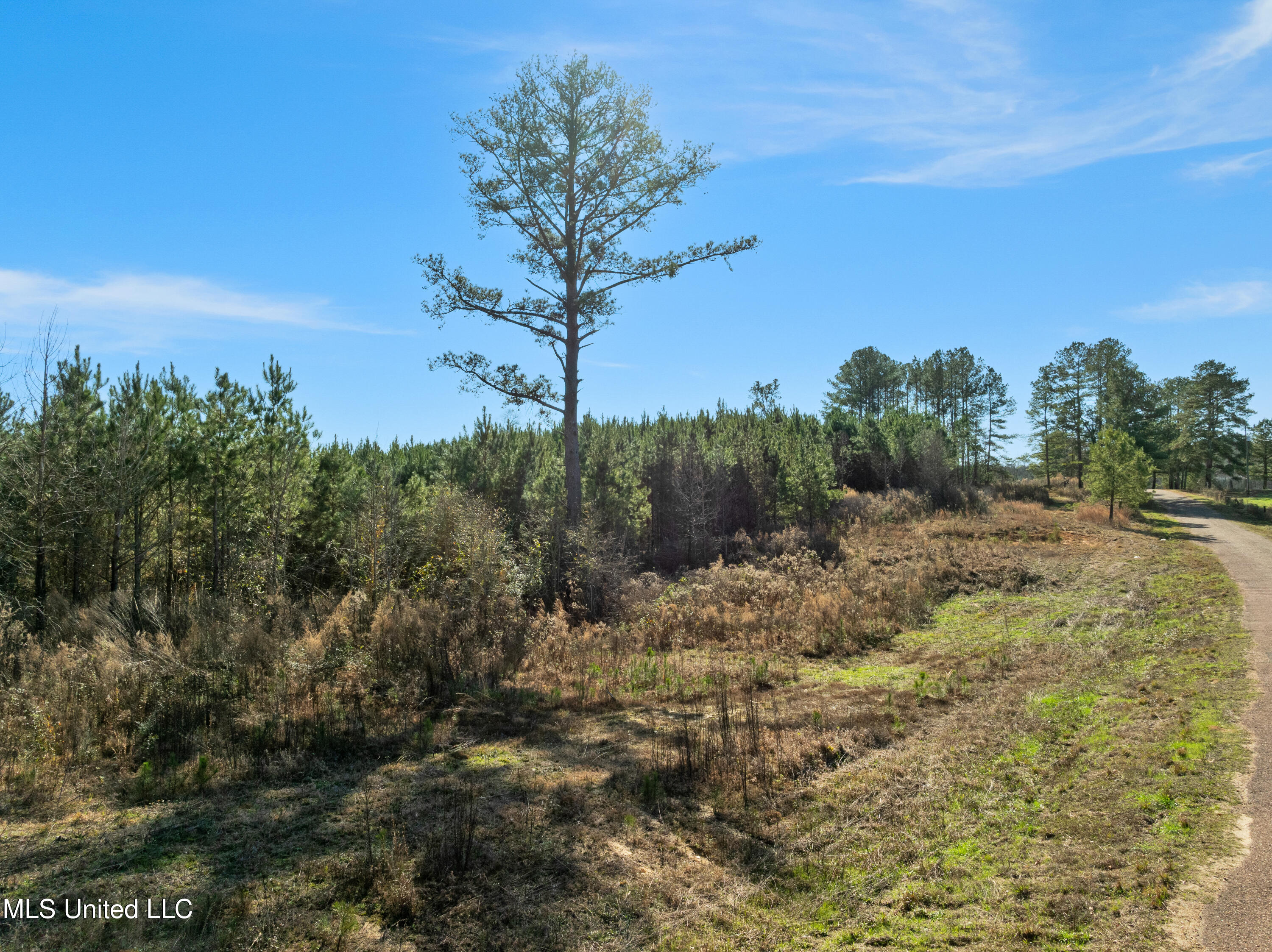 121 Mack Cemetery Road Property Photo 89