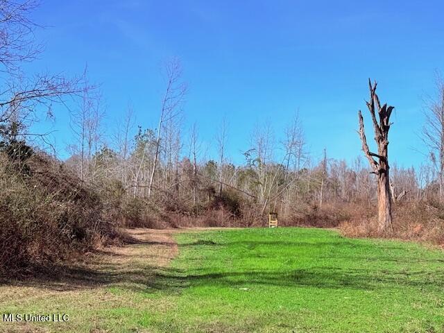 40 Clarence Bullock Road Property Photo 4