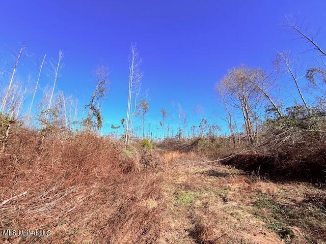 40 Clarence Bullock Road Property Photo 6