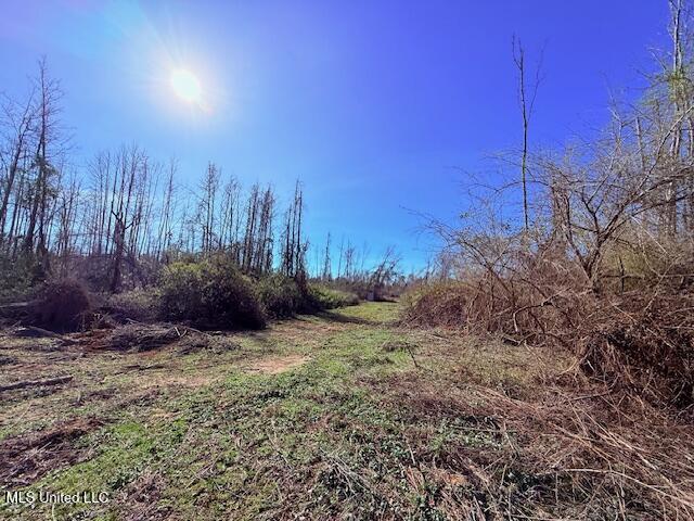 40 Clarence Bullock Road Property Photo 7