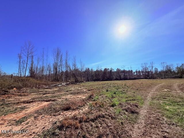 40 Clarence Bullock Road Property Photo 10