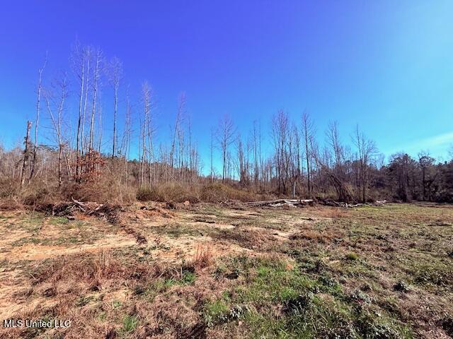 40 Clarence Bullock Road Property Photo 11