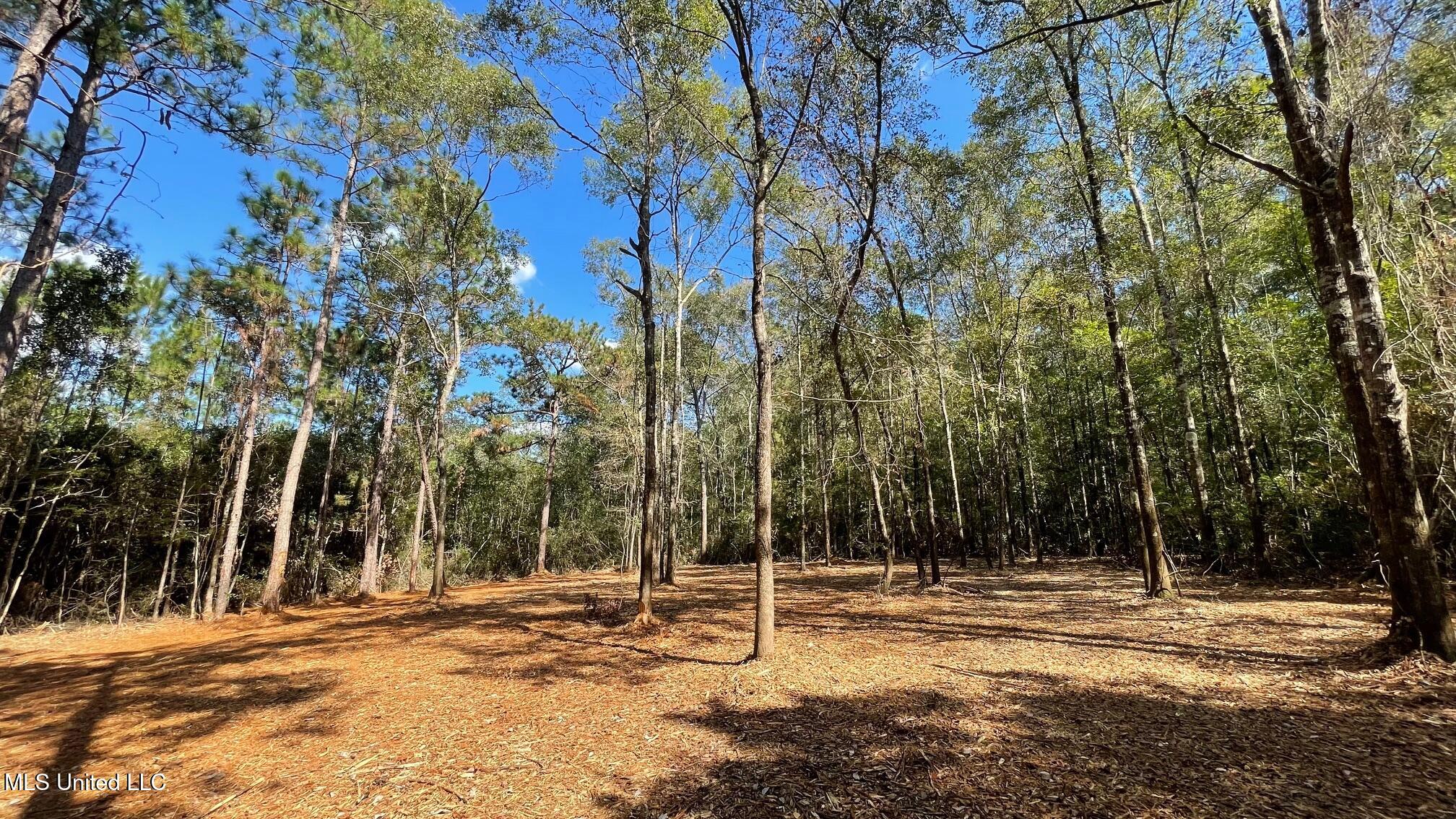Old Hwy 49 Property Photo 1