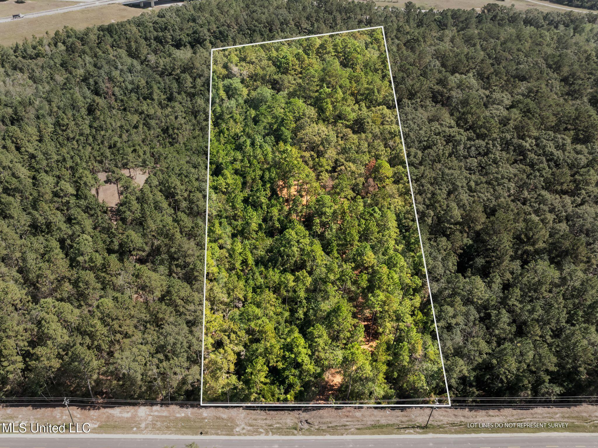 Old Hwy 49 Property Photo 5