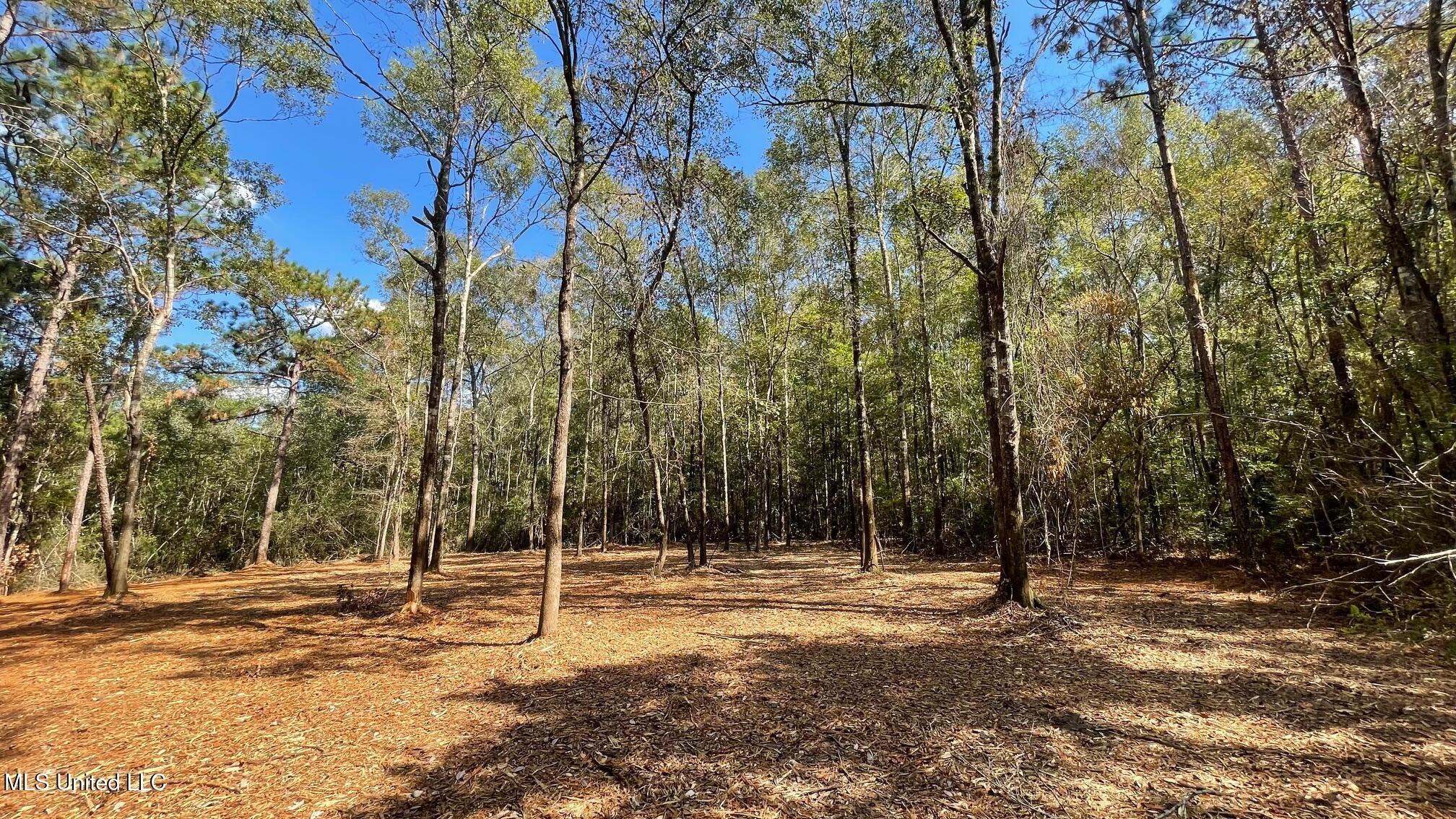 Old Hwy 49 Property Photo 6