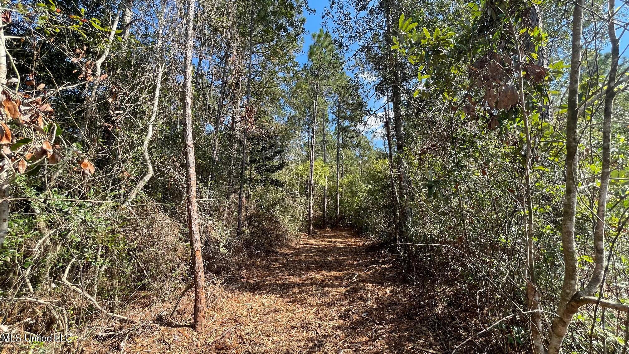 Old Hwy 49 Property Photo 7