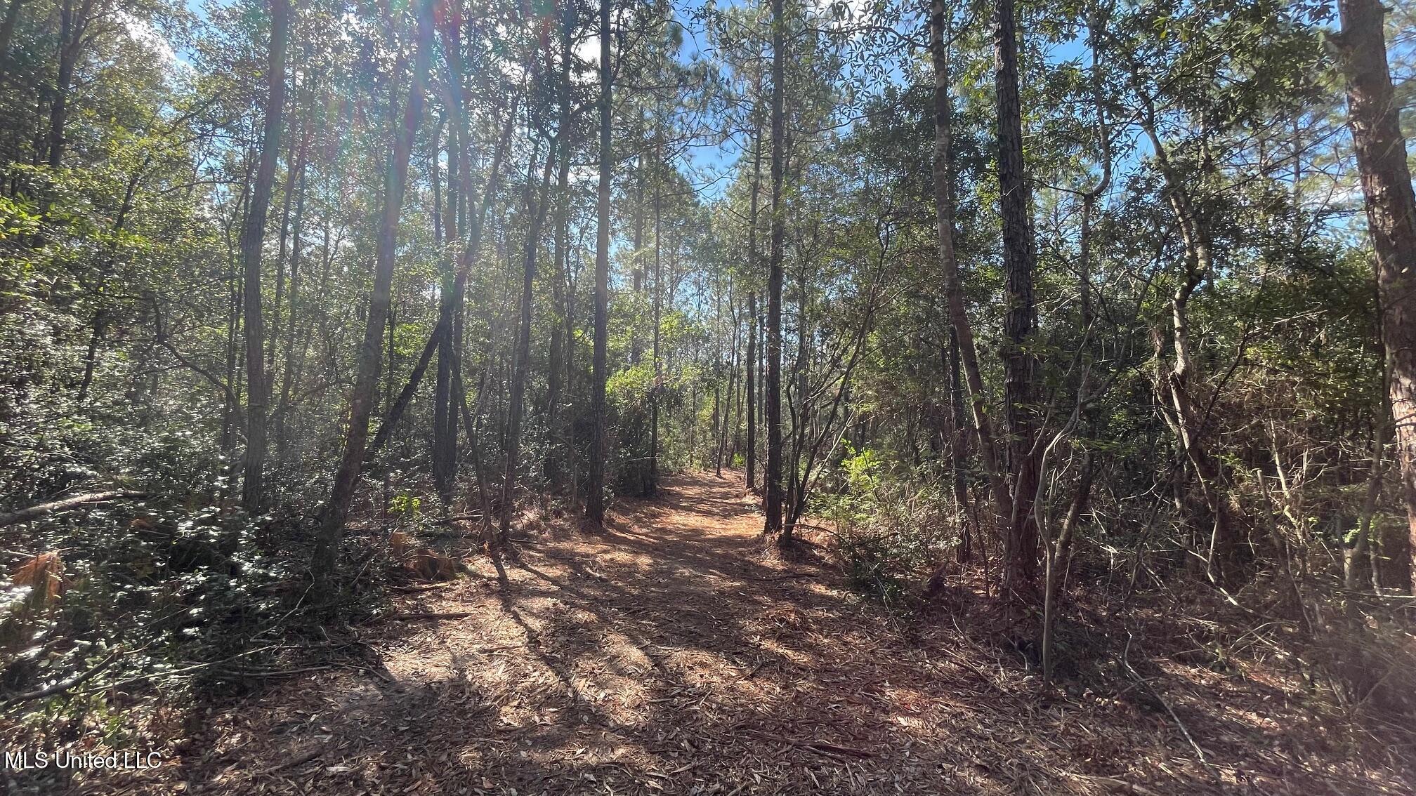 Old Hwy 49 Property Photo 8
