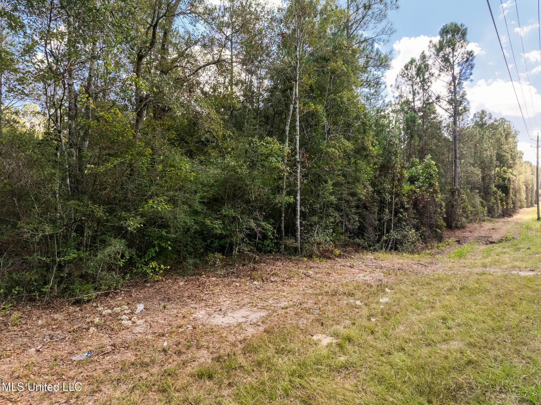 Old Hwy 49 Property Photo 9