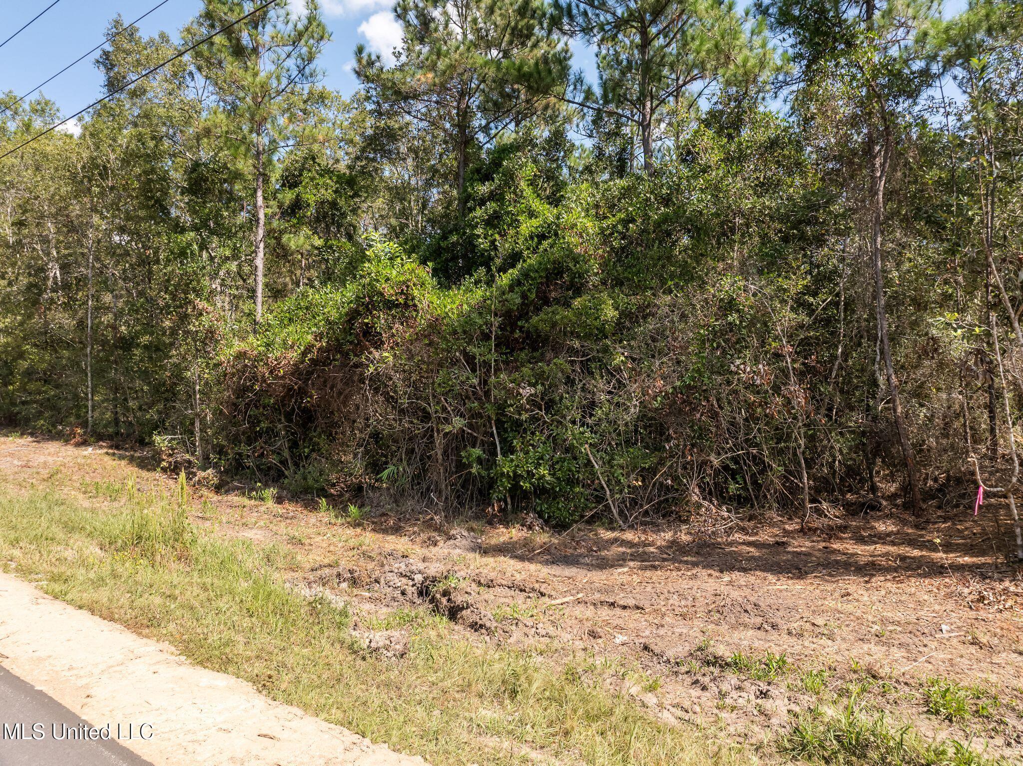 Old Hwy 49 Property Photo 10