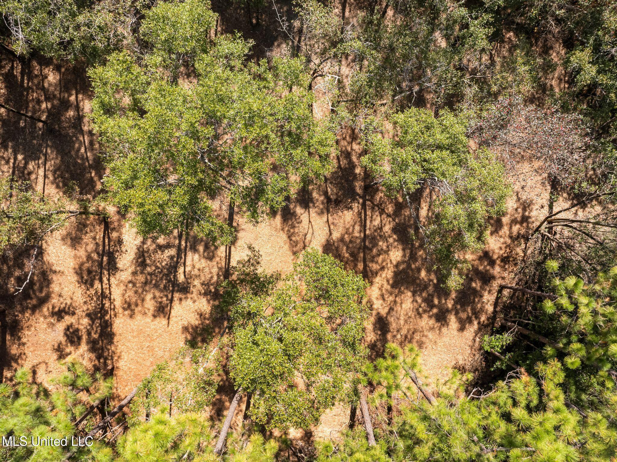Old Hwy 49 Property Photo 12