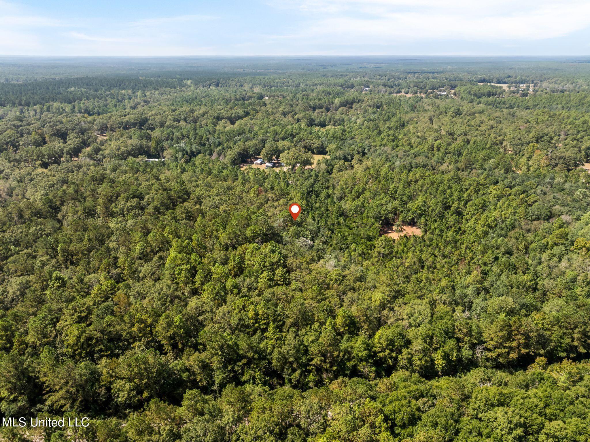 Old Hwy 49 Property Photo 15
