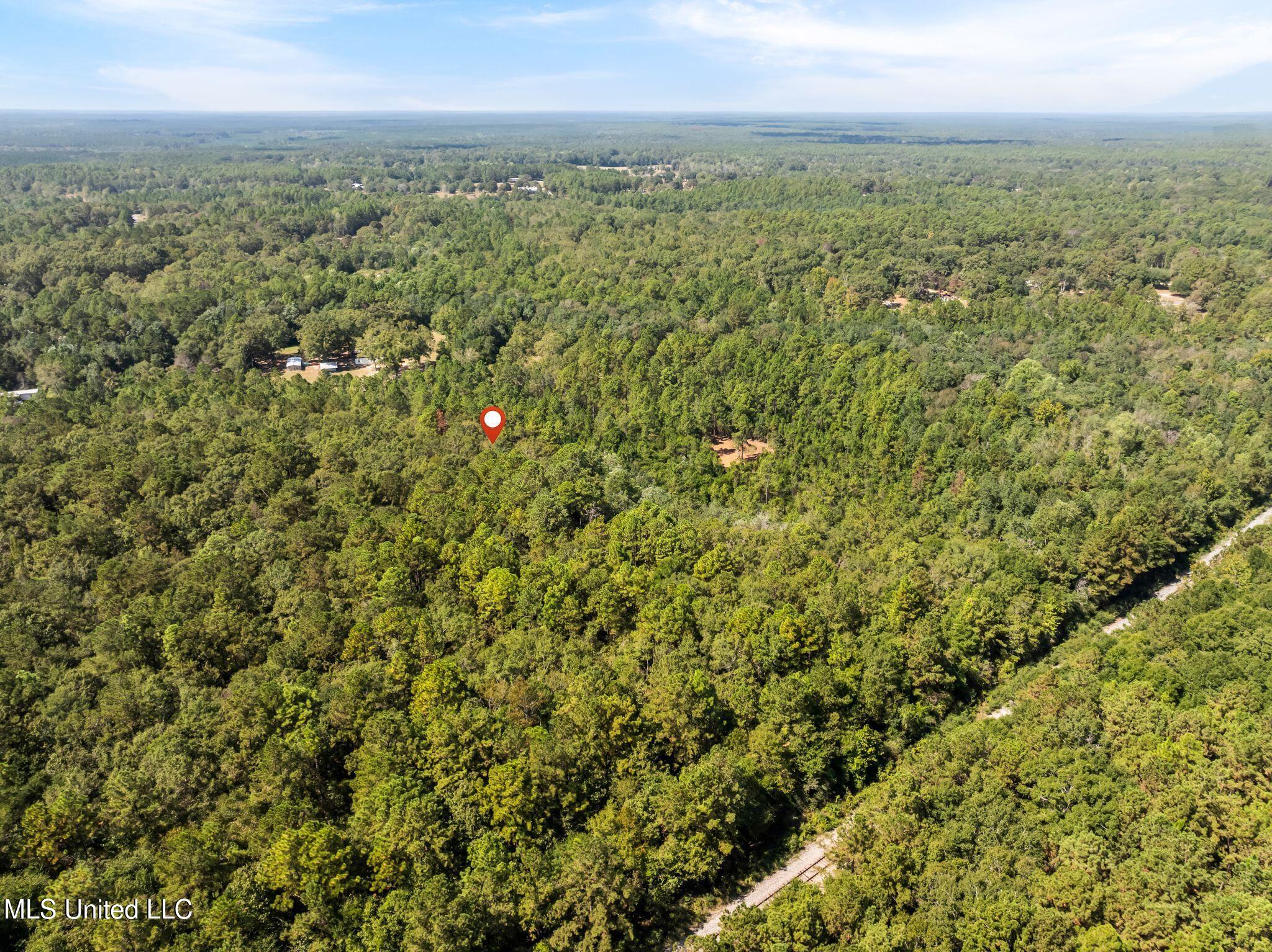 Old Hwy 49 Property Photo 16