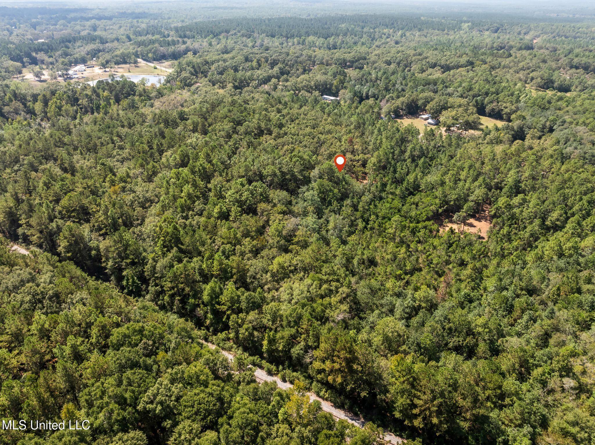 Old Hwy 49 Property Photo 17