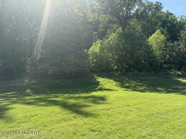 4173 W Olivia Circle Property Photo 28