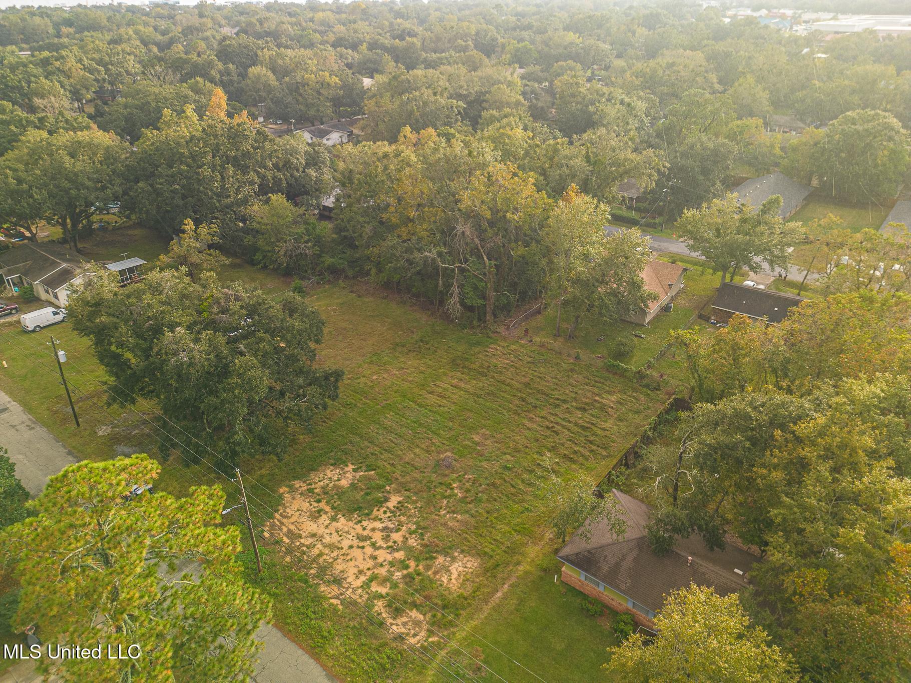 211 Gates Avenue Property Photo 4