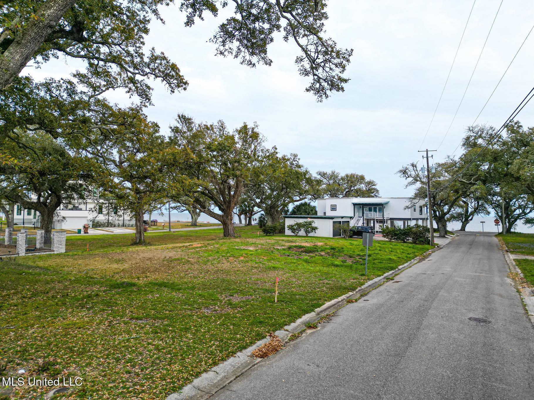103 E Azalea Drive Property Photo 6
