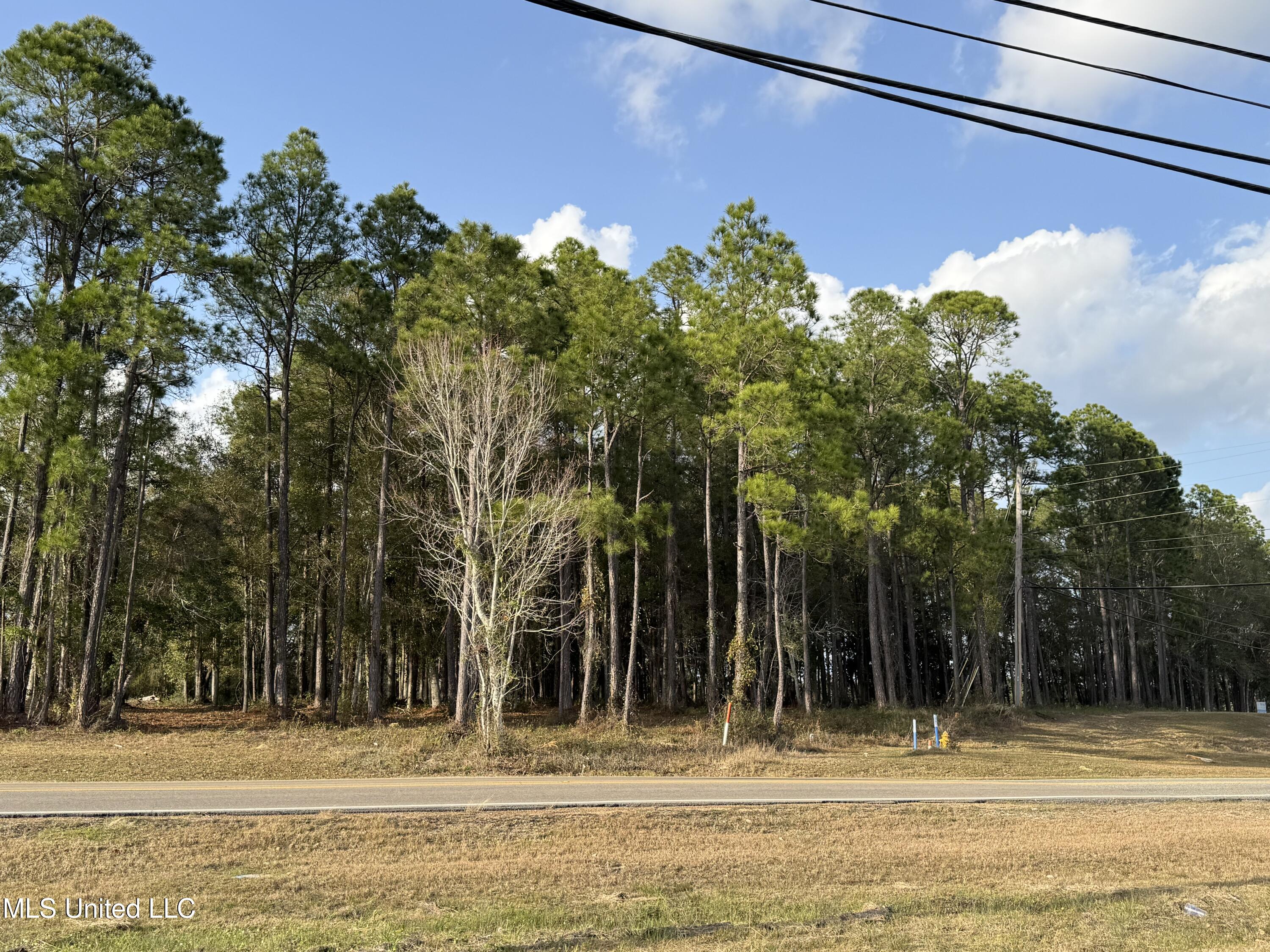 12999 Shriners Boulevard Property Photo 2