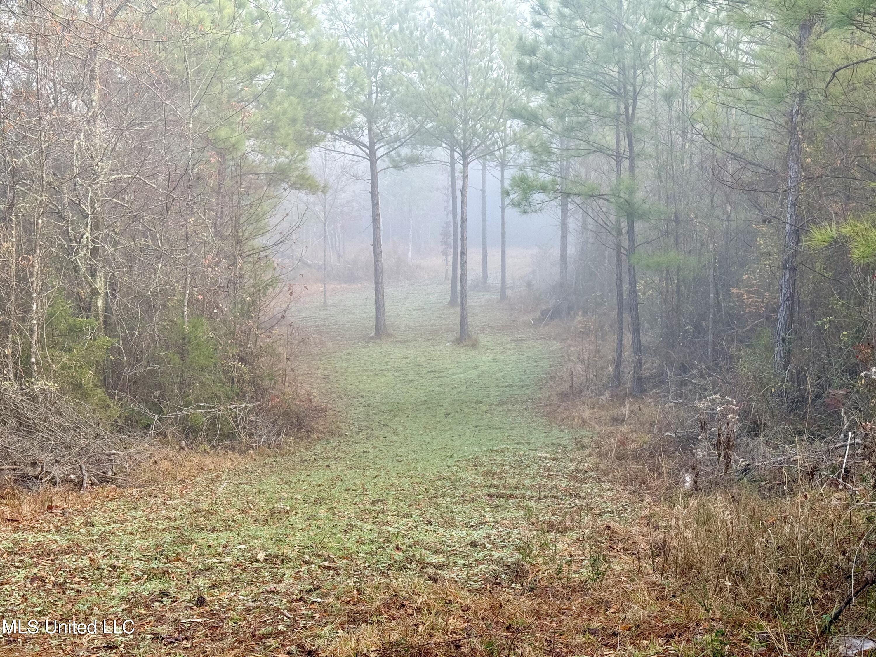 960 Old 51 Road Property Photo 1