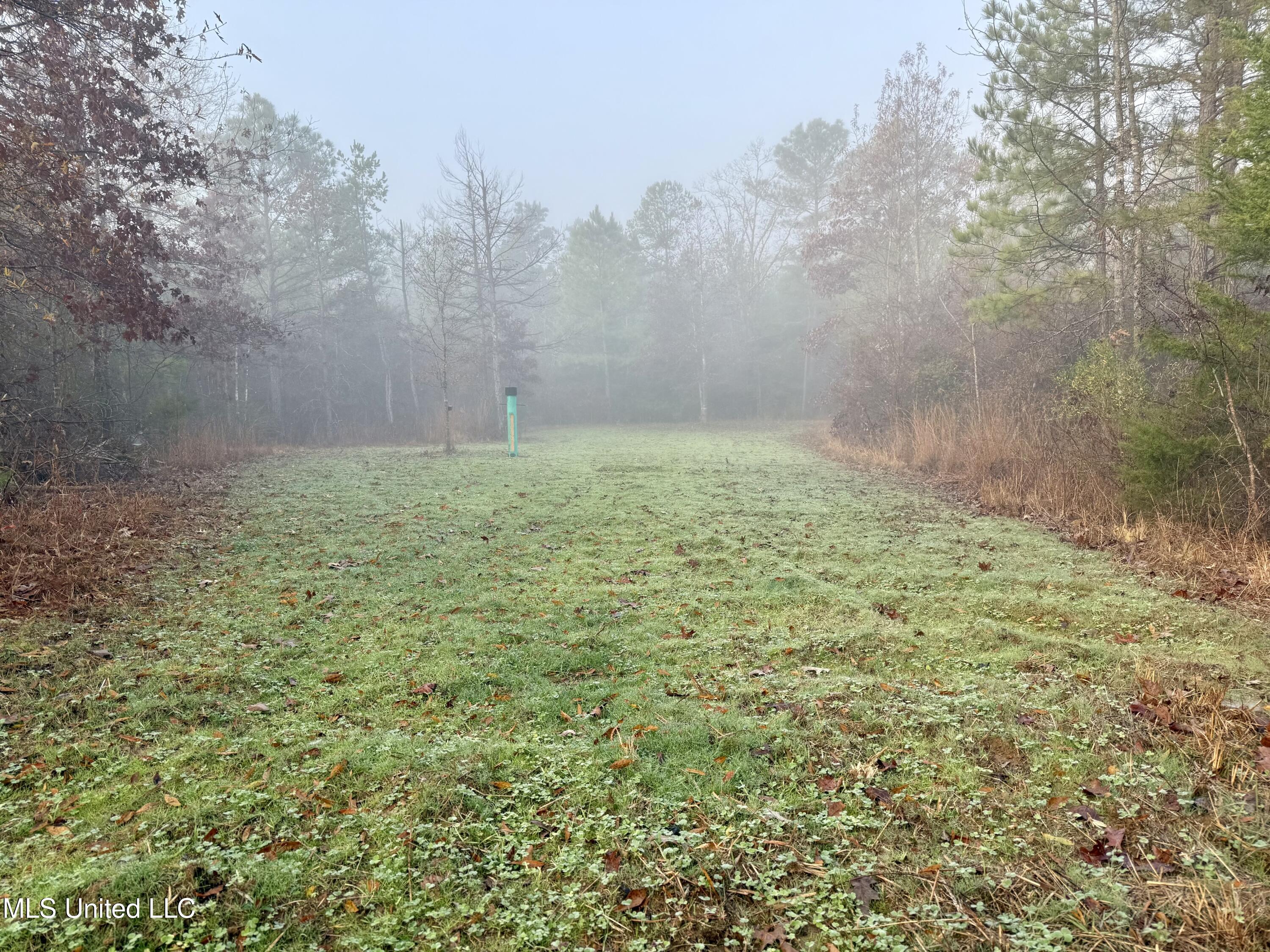960 Old 51 Road Property Photo 2