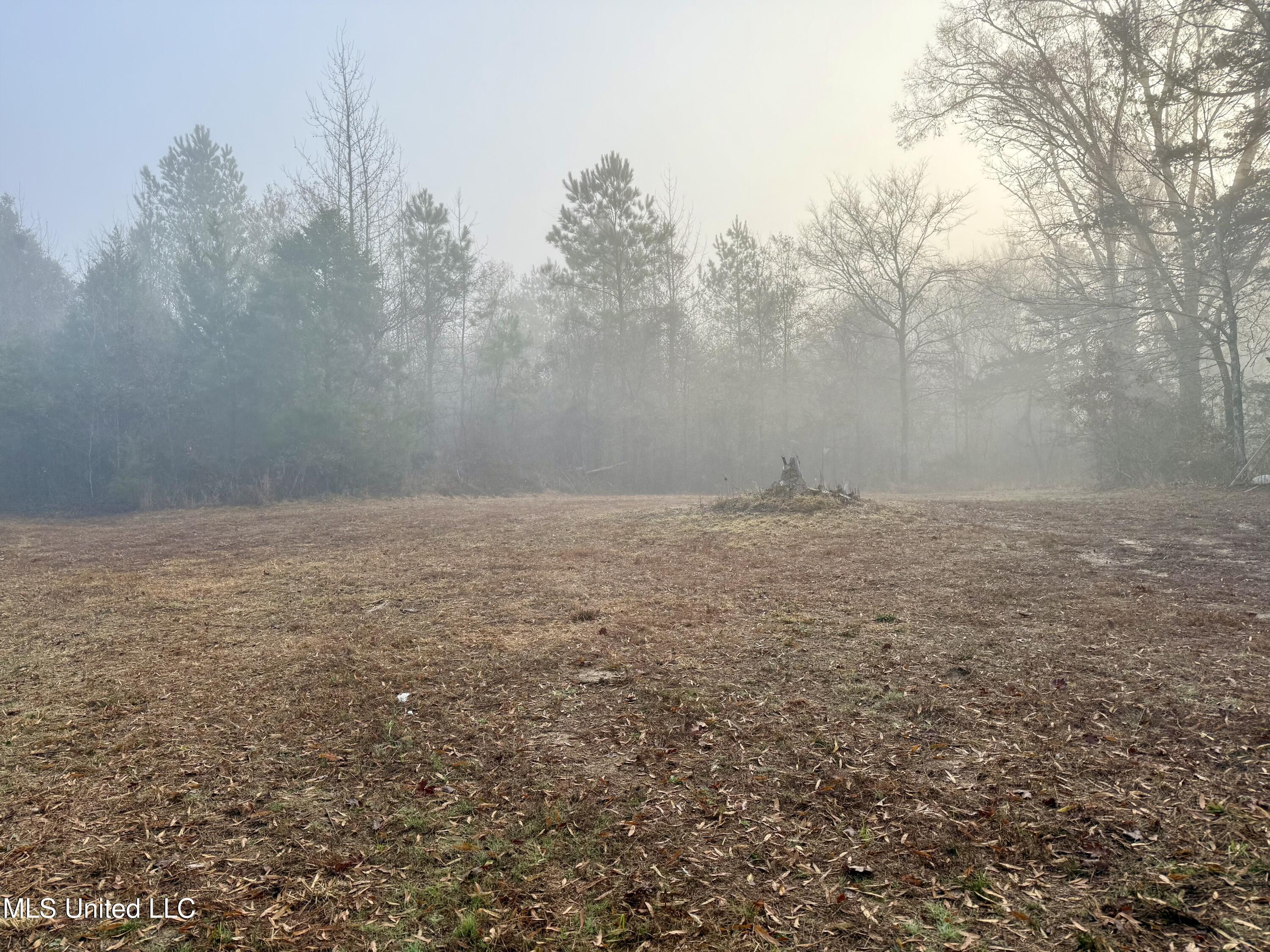 960 Old 51 Road Property Photo 3