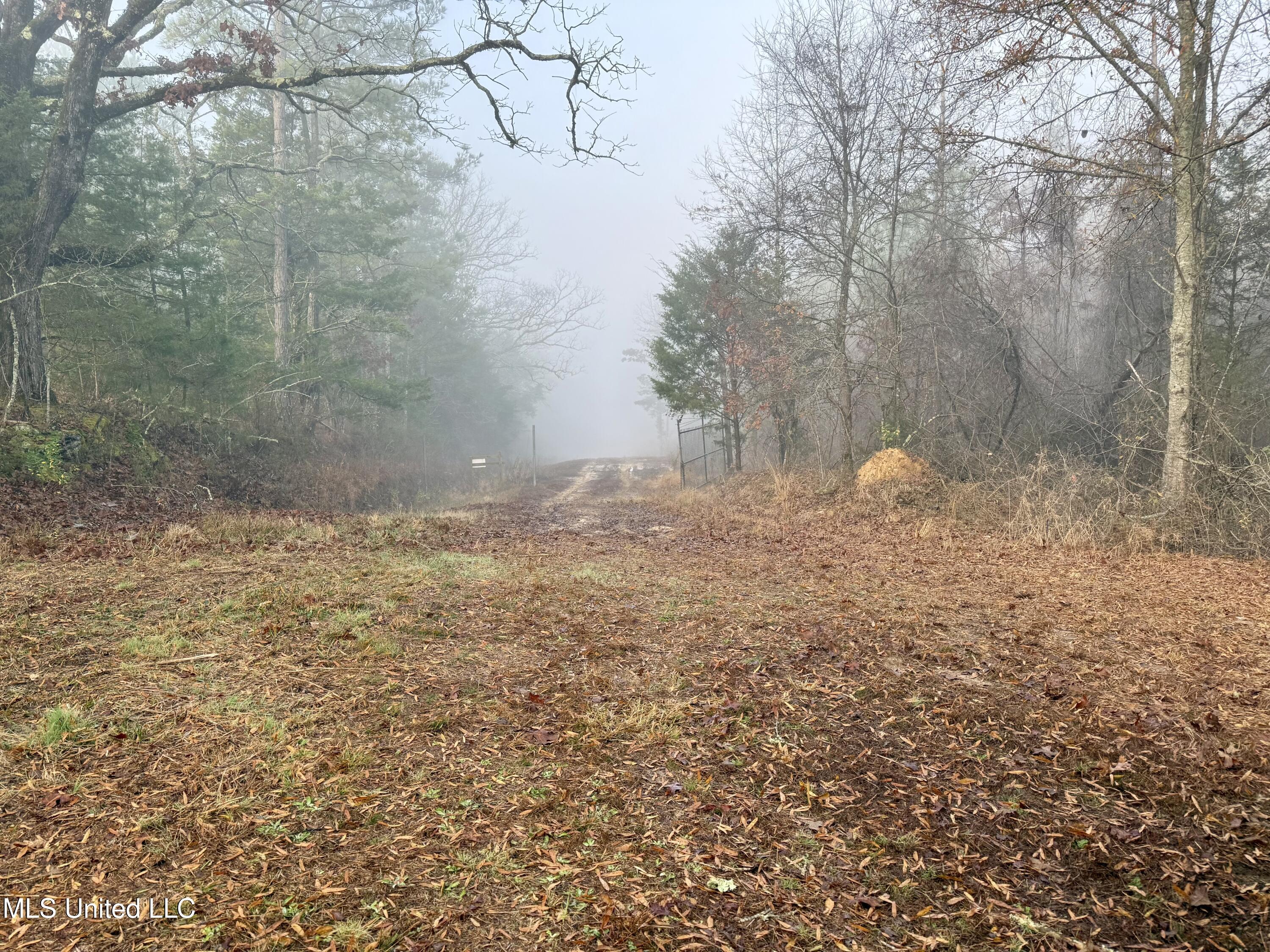 960 Old 51 Road Property Photo 4