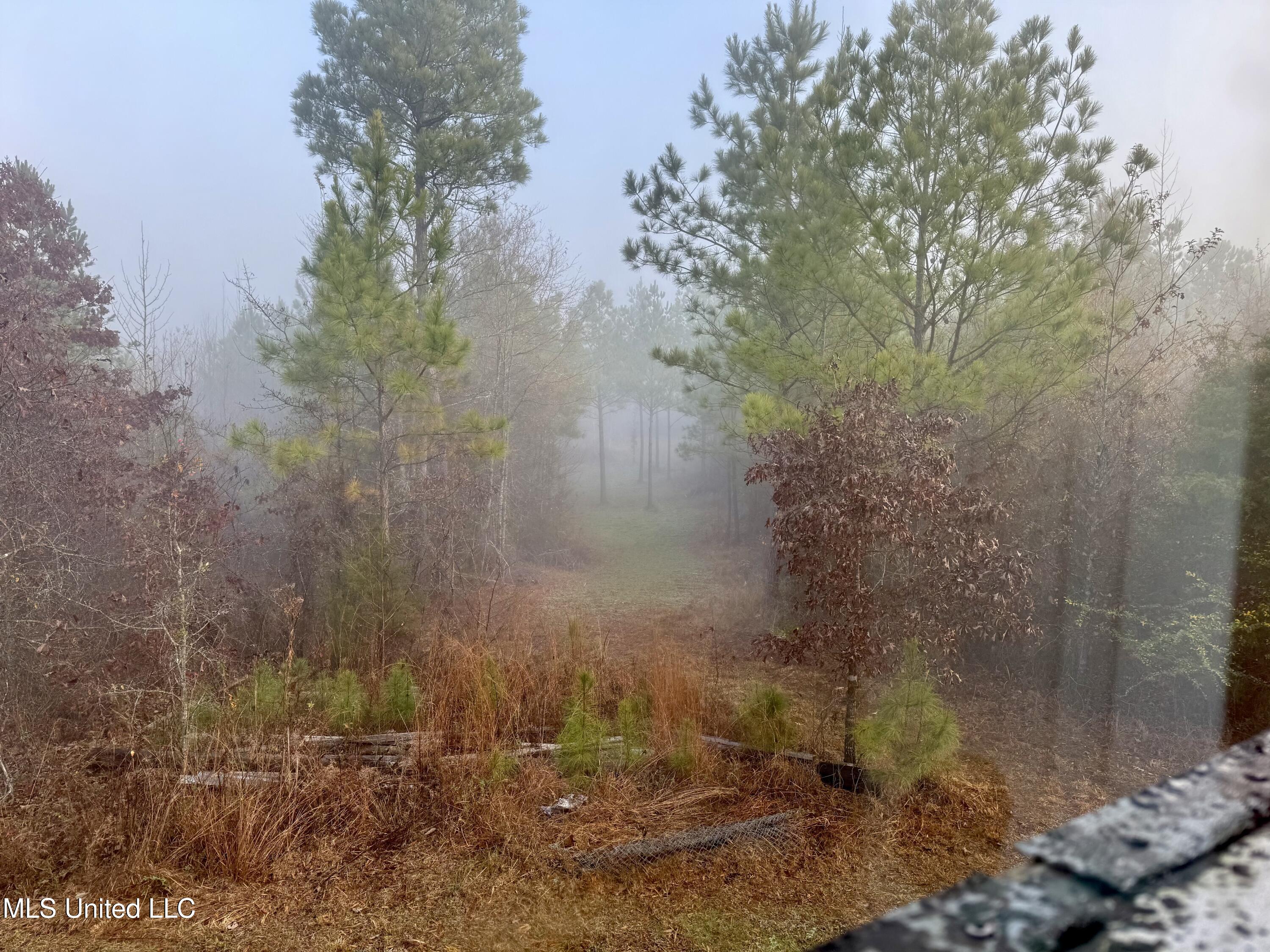 960 Old 51 Road Property Photo 6