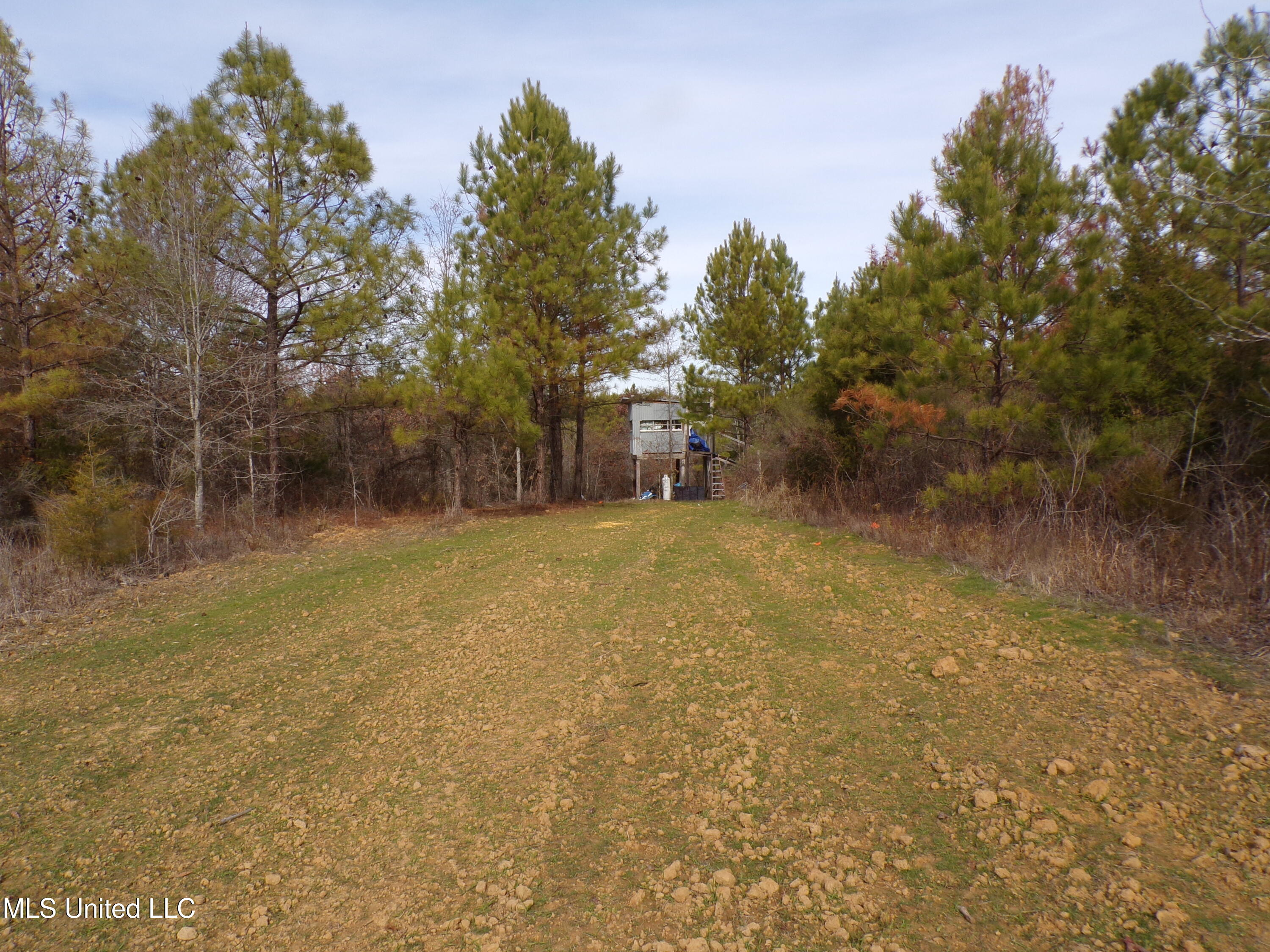 960 Old 51 Road Property Photo 9