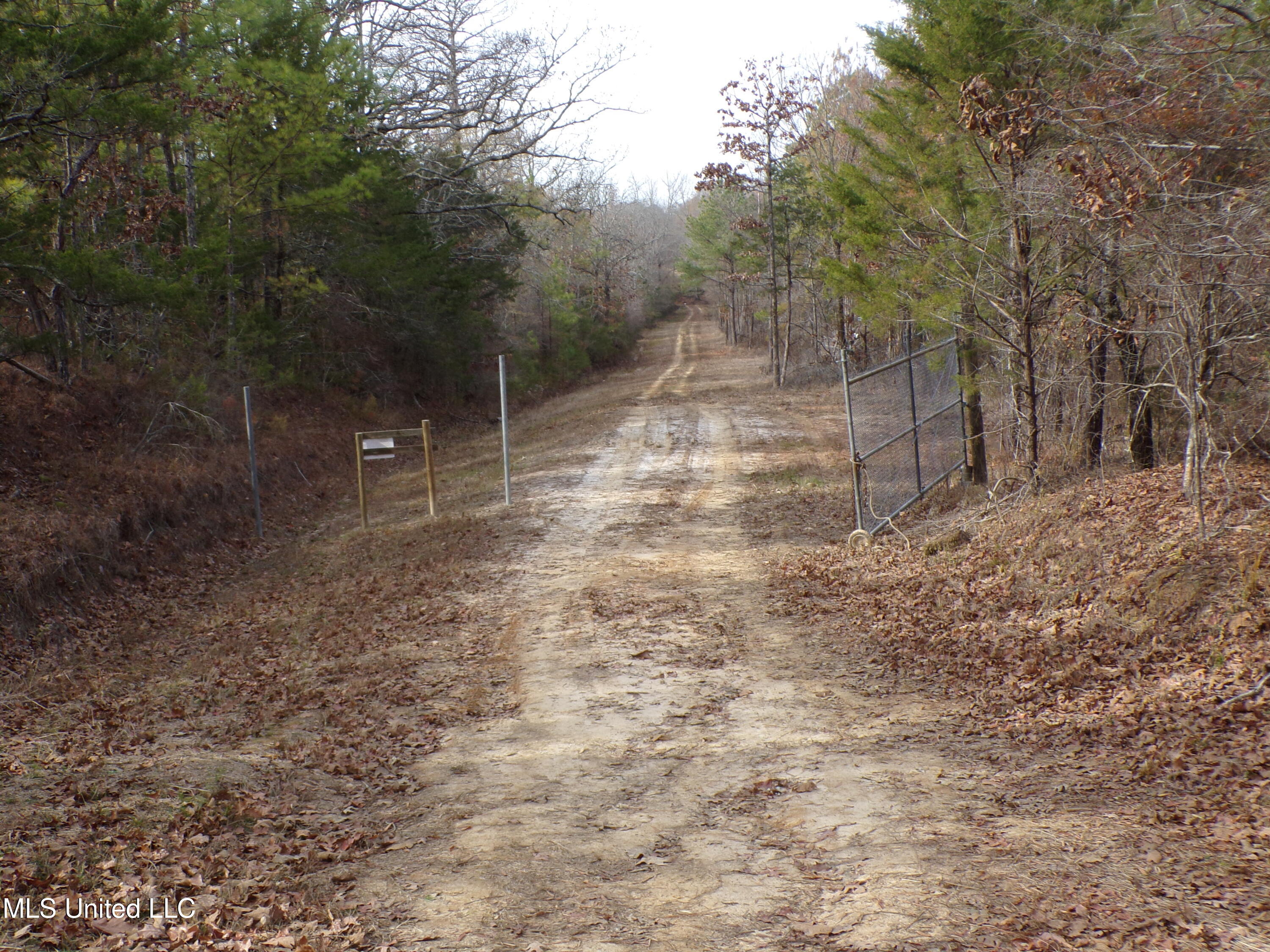 960 Old 51 Road Property Photo 10