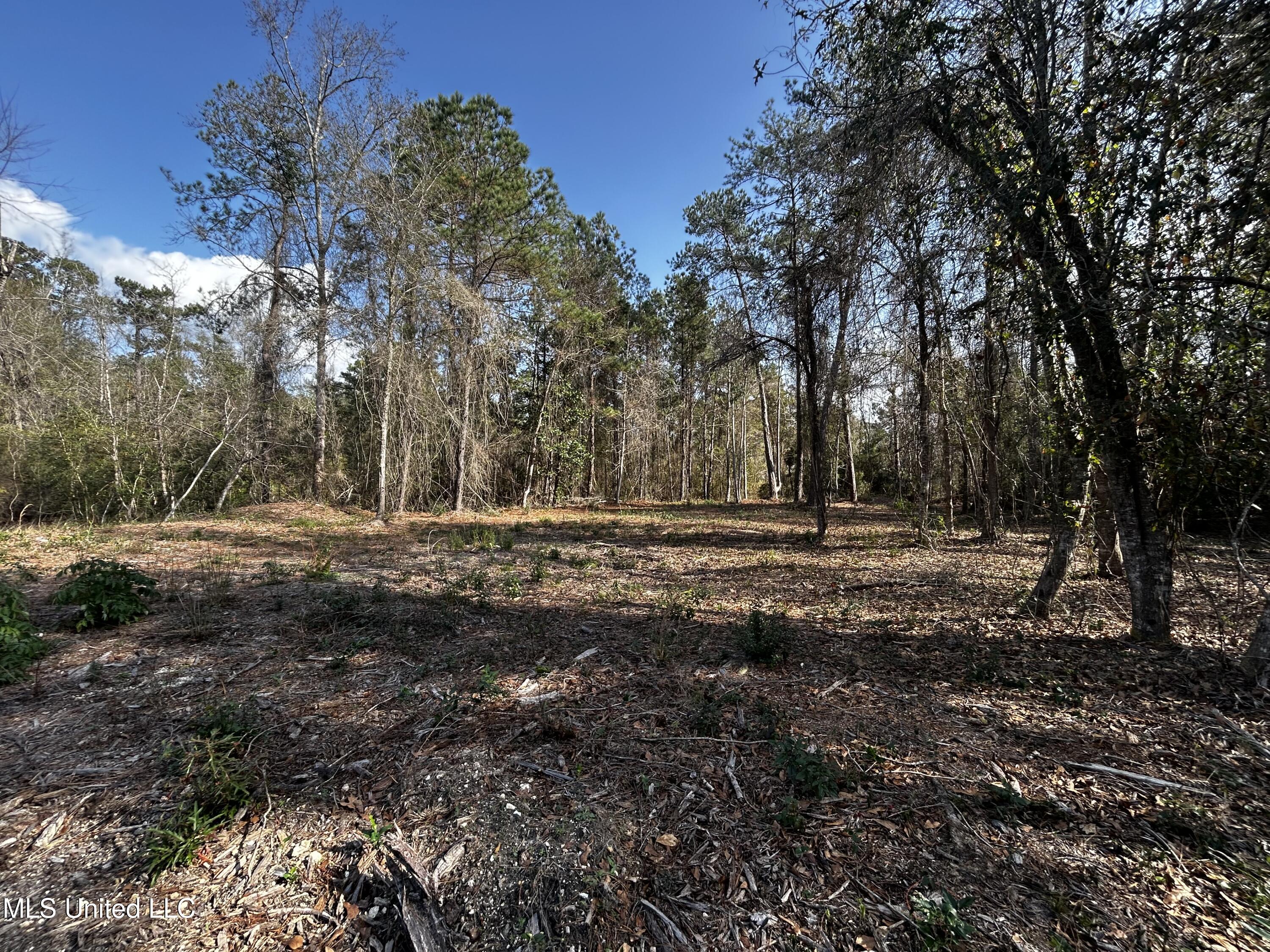 0 Lakeside Drive Property Photo 1