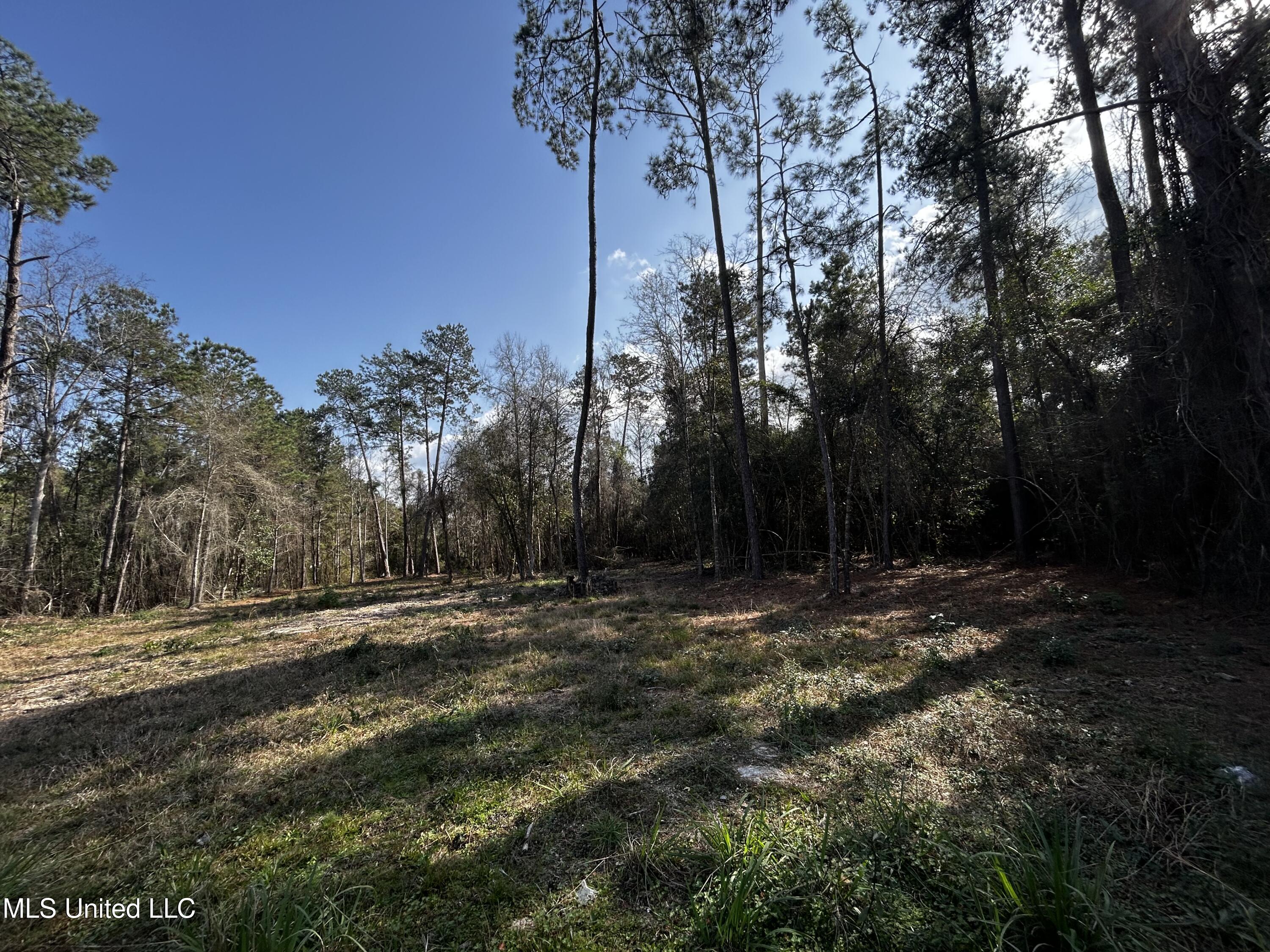 0 Lakeside Drive Property Photo 4