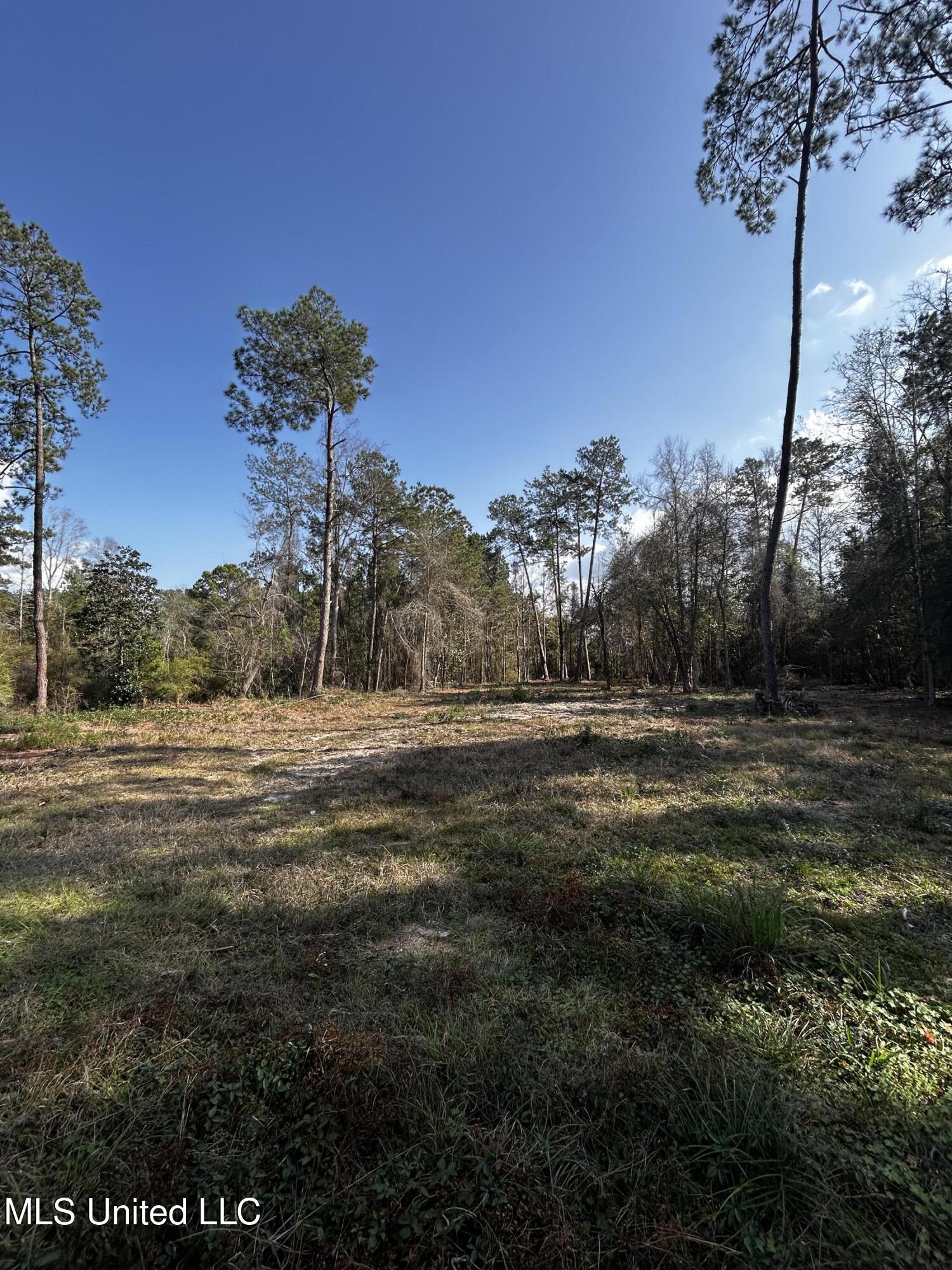 0 Lakeside Drive Property Photo 6