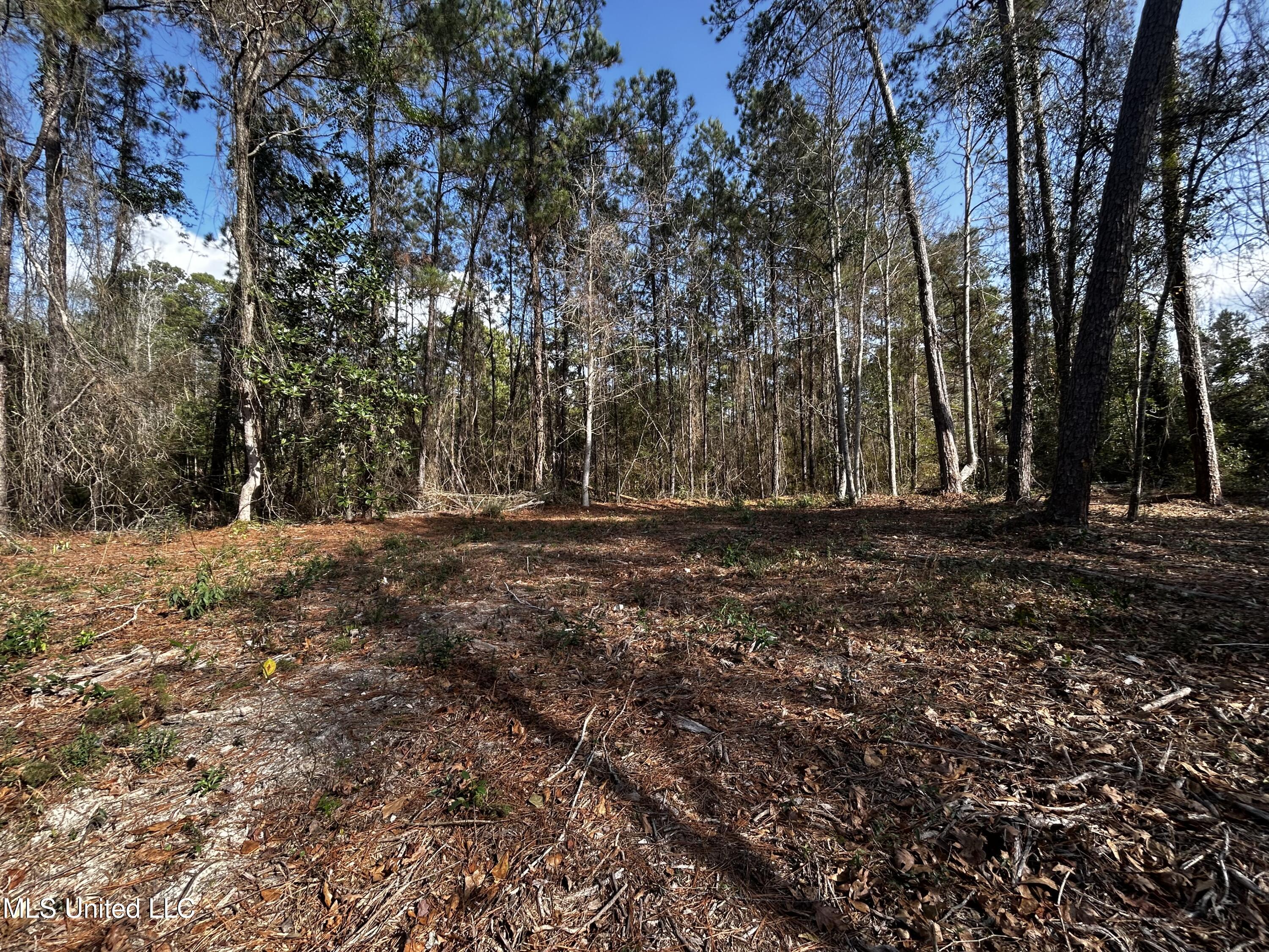 0 Lakeside Drive Property Photo 8
