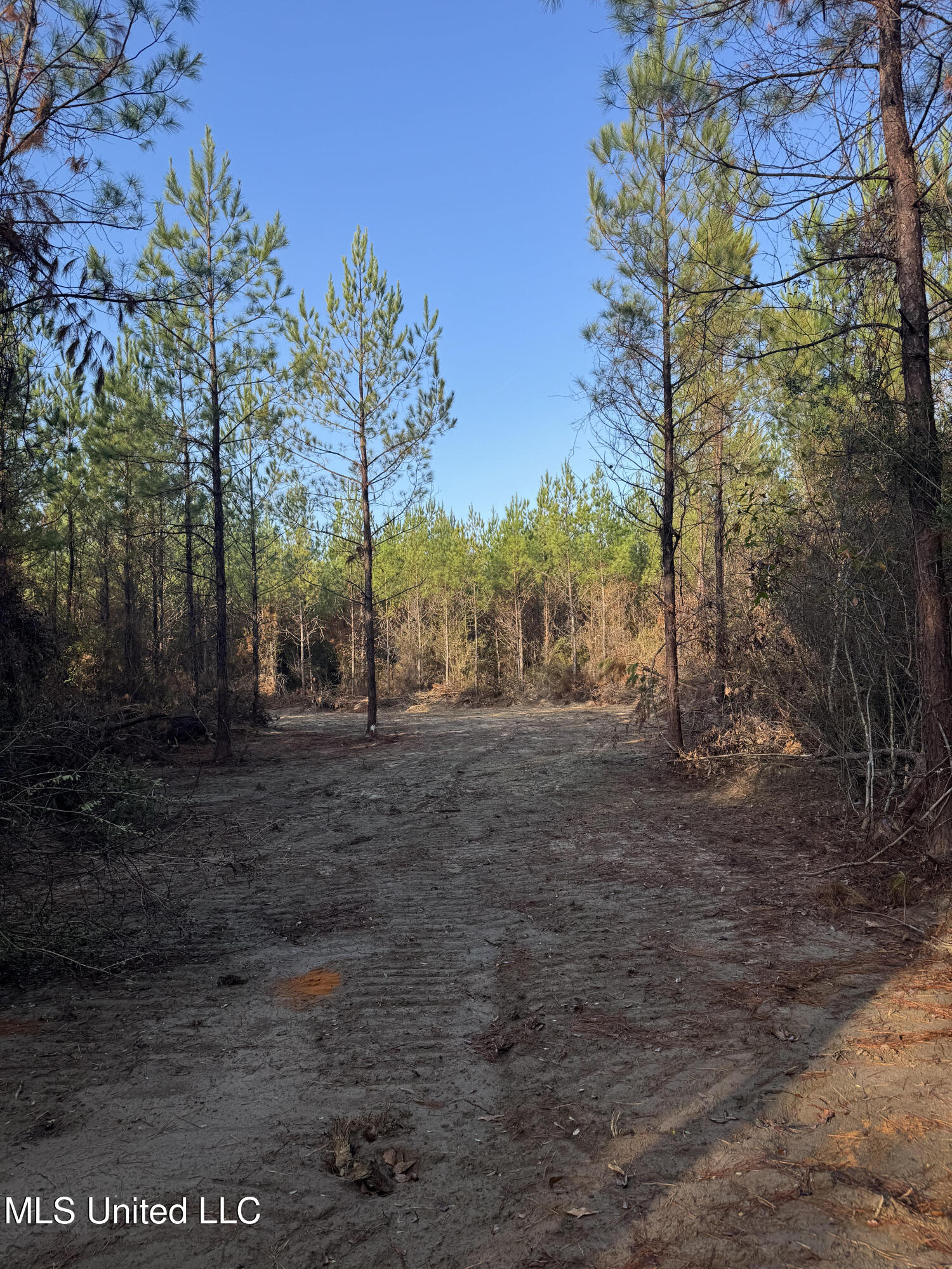 Pat Hickman Road Property Photo 1