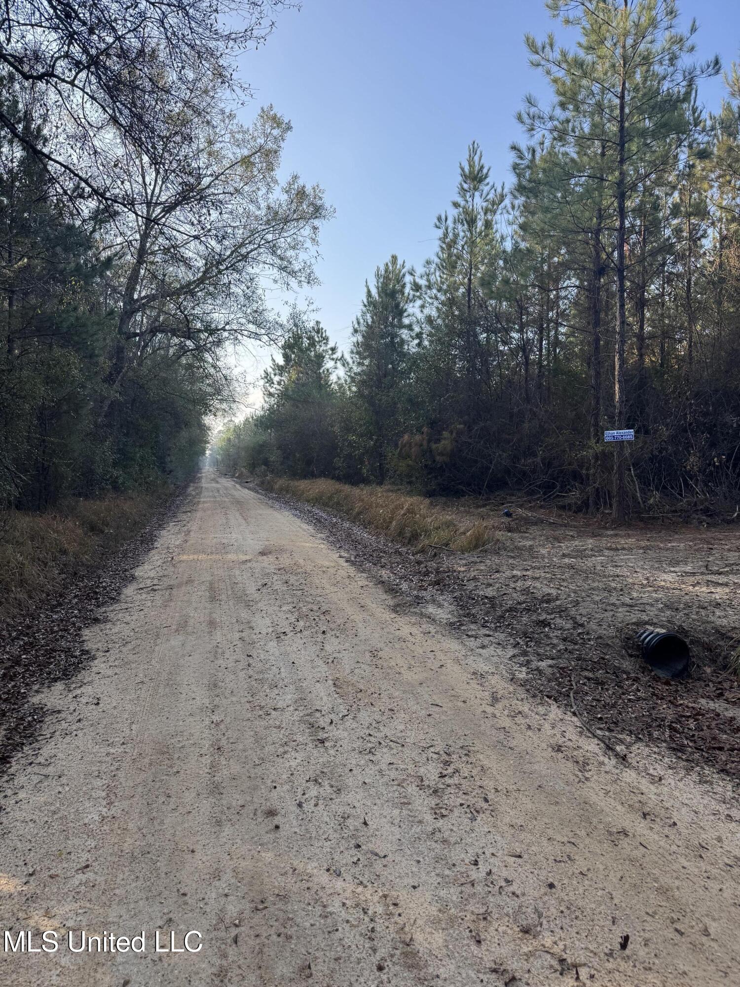 Pat Hickman Road Property Photo 2