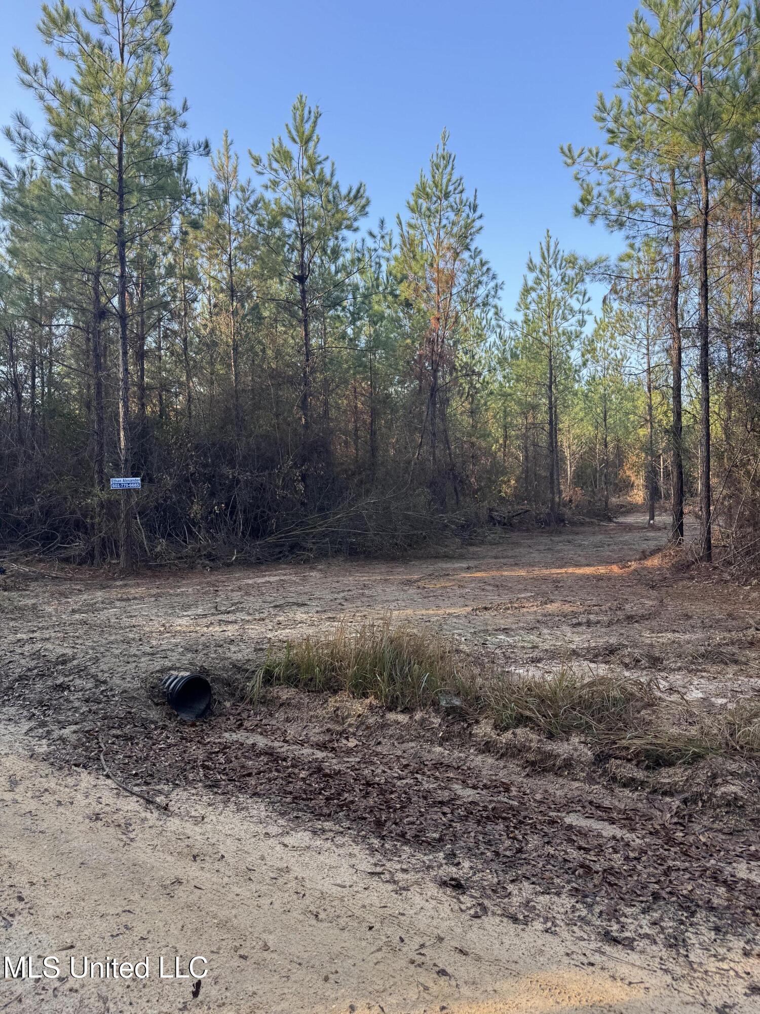 Pat Hickman Road Property Photo 3