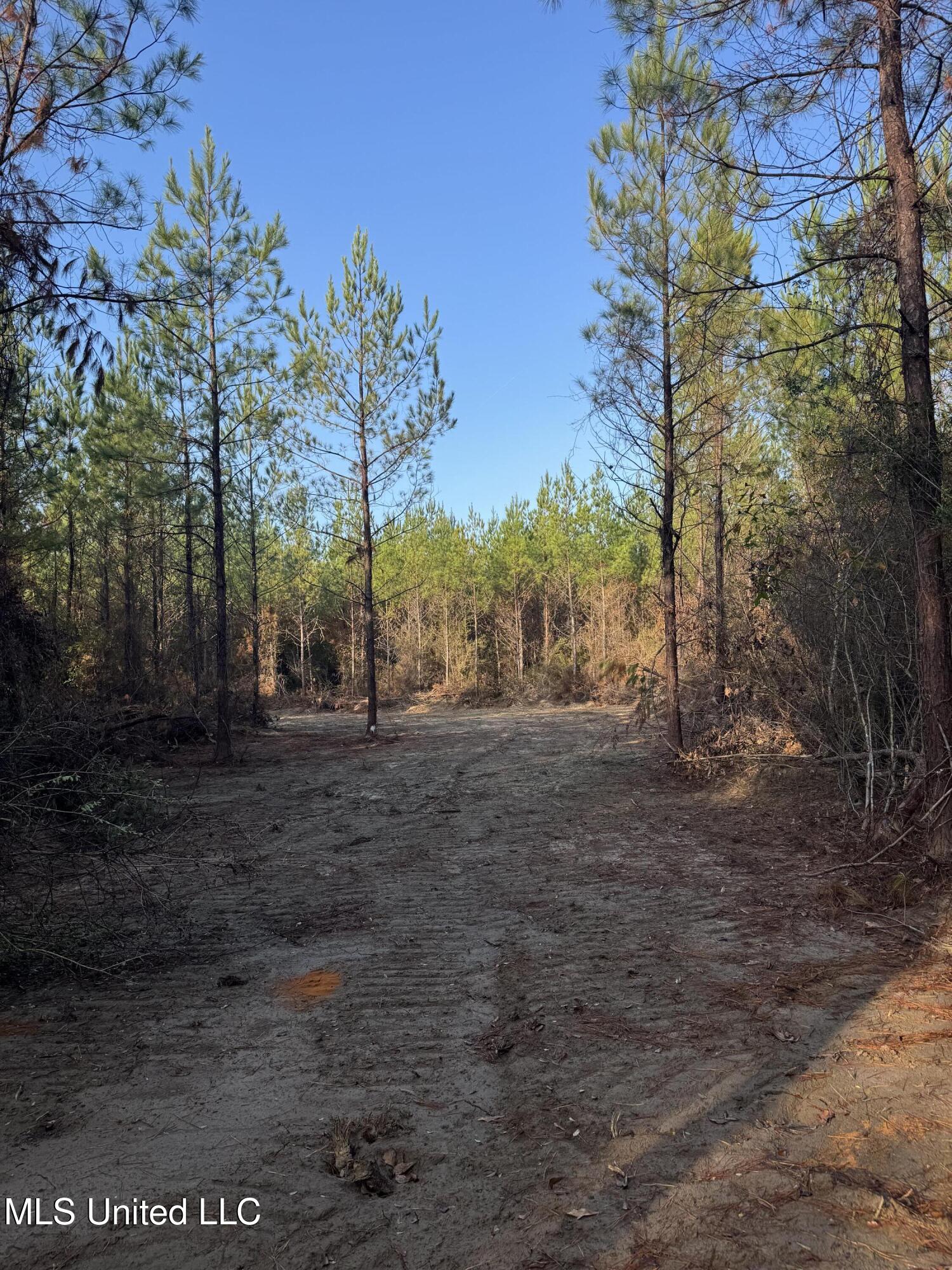 Pat Hickman Road Property Photo 4