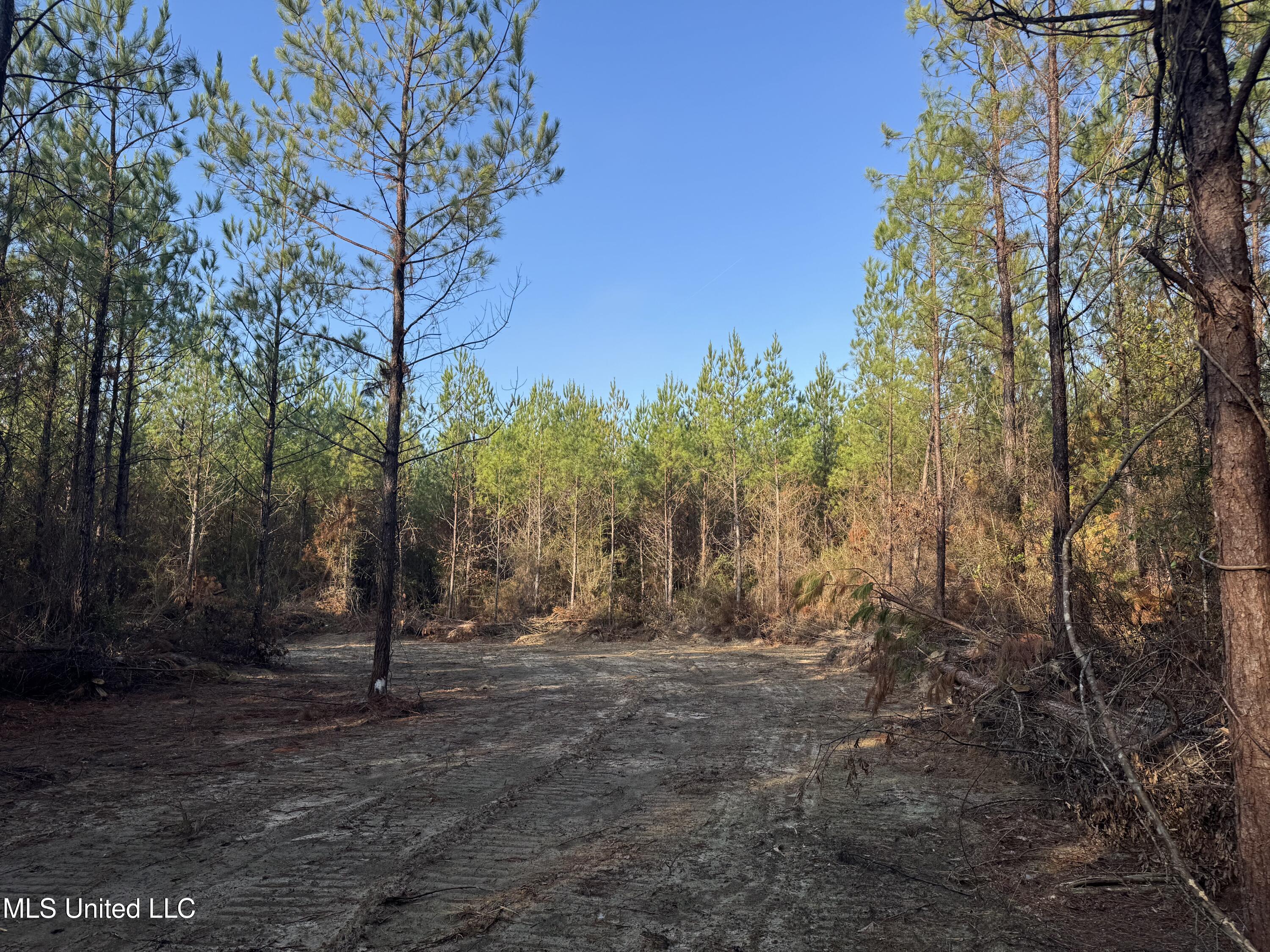 Pat Hickman Road Property Photo 5