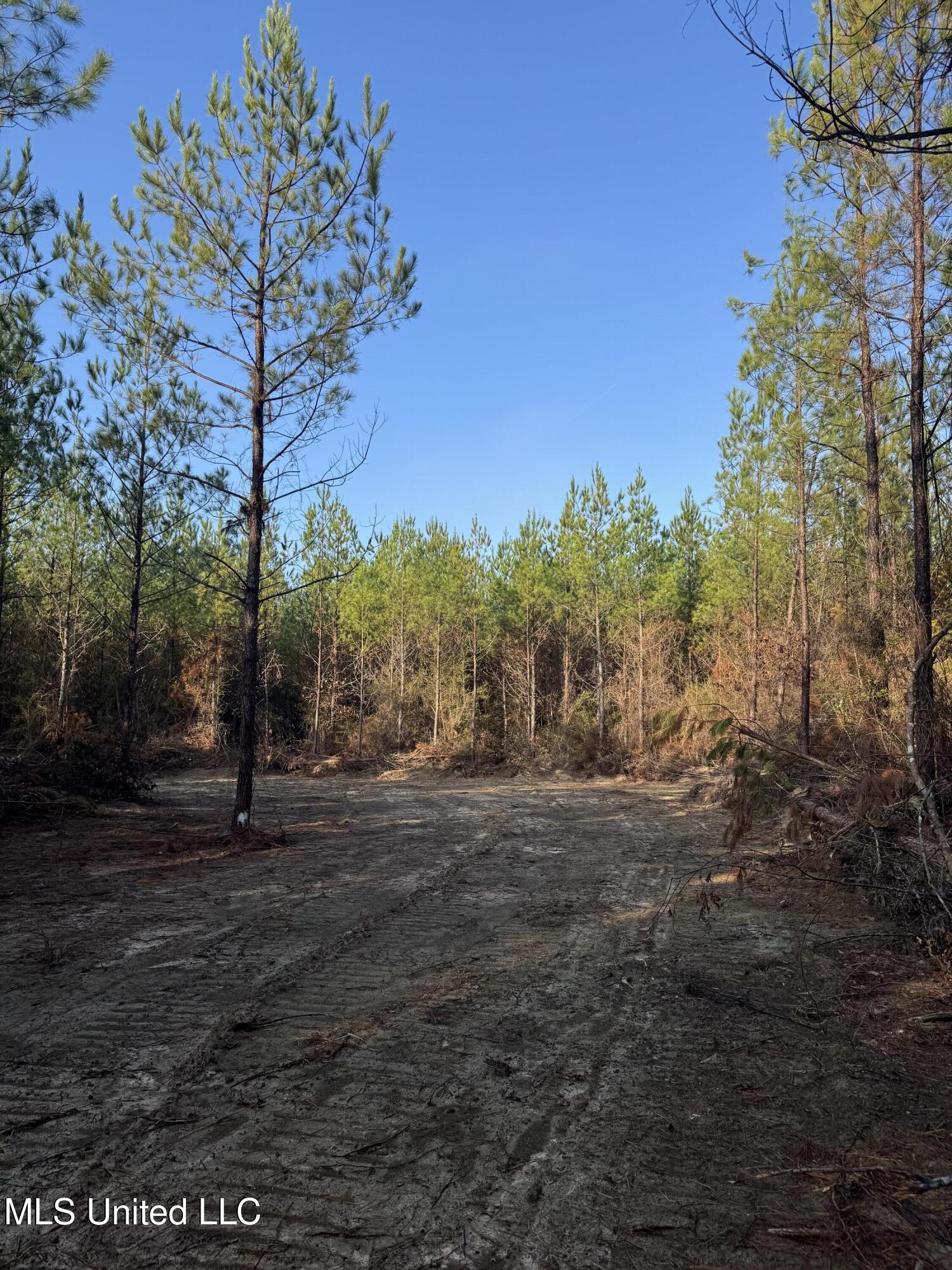 Pat Hickman Road Property Photo 6